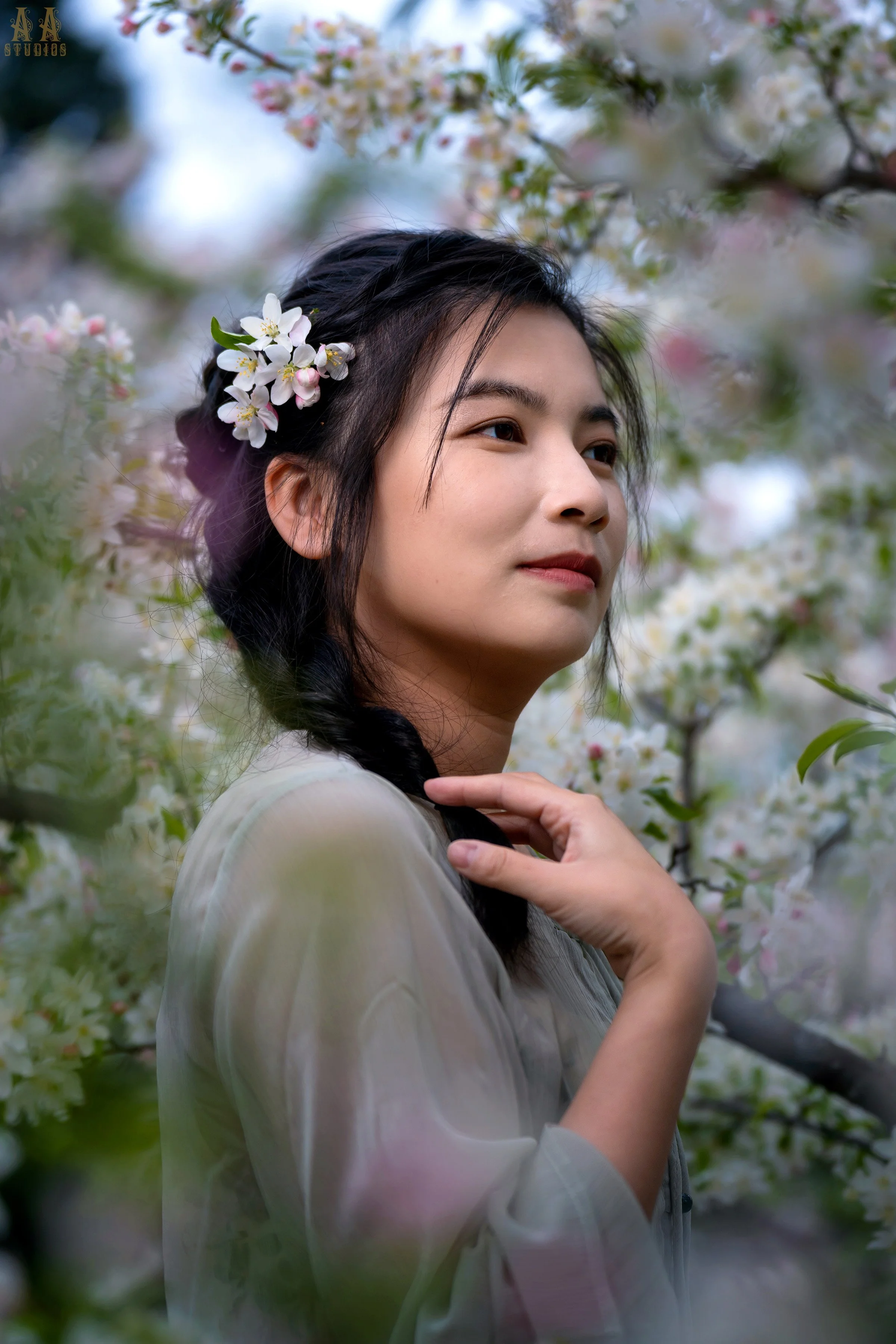 Chinese SAKURA CHERRY BLOSSOMS PHOTO SESSION IN EAST LANSING MI
