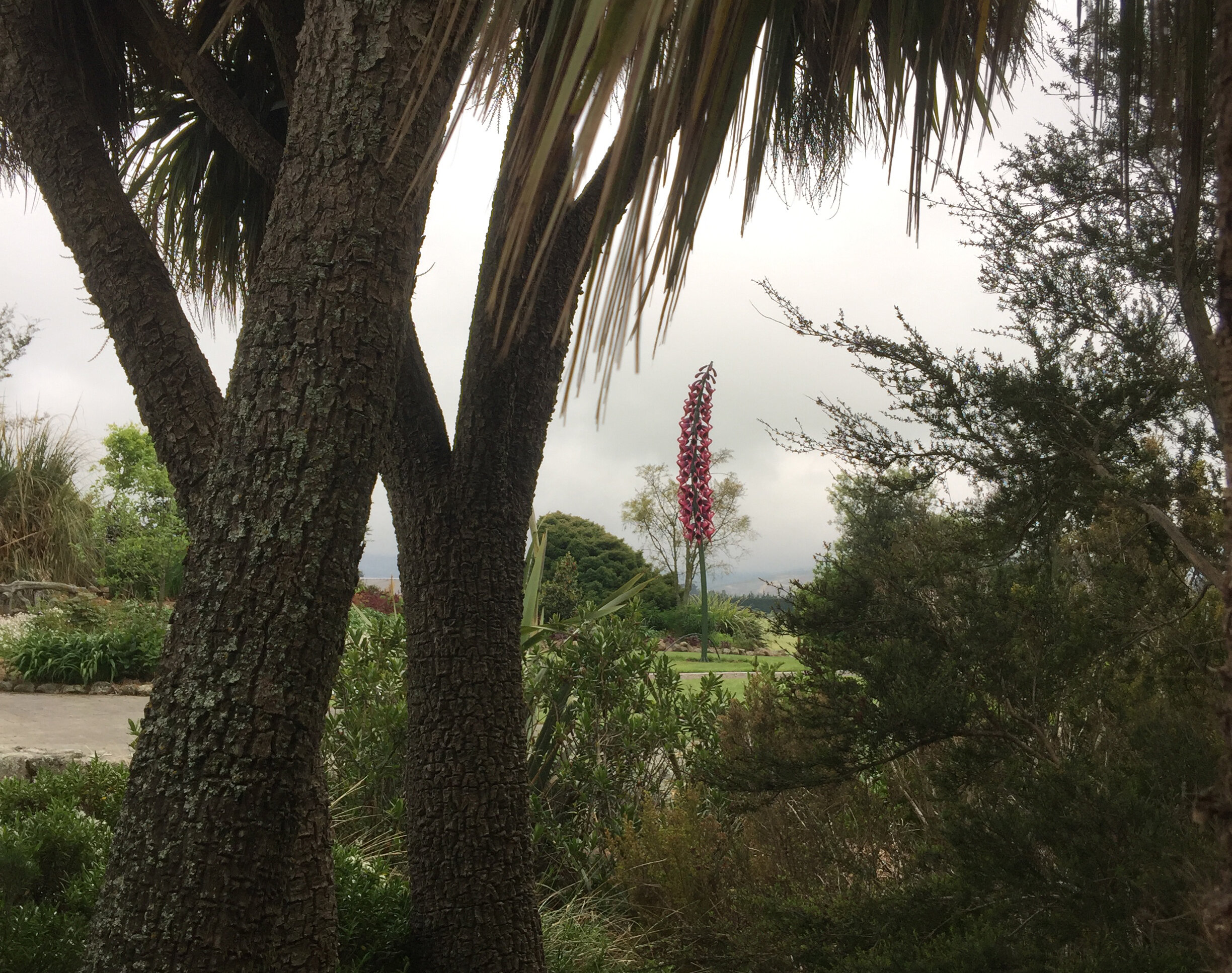  Khulu was one of Nelson Mandala’s many nicknames, meaning “Great One.”  The winter of his life was not lost on Nelson Mandela for he knew how to embrace the winter and when the spring came he was able to walk in it with strength, dignity and wisdom,