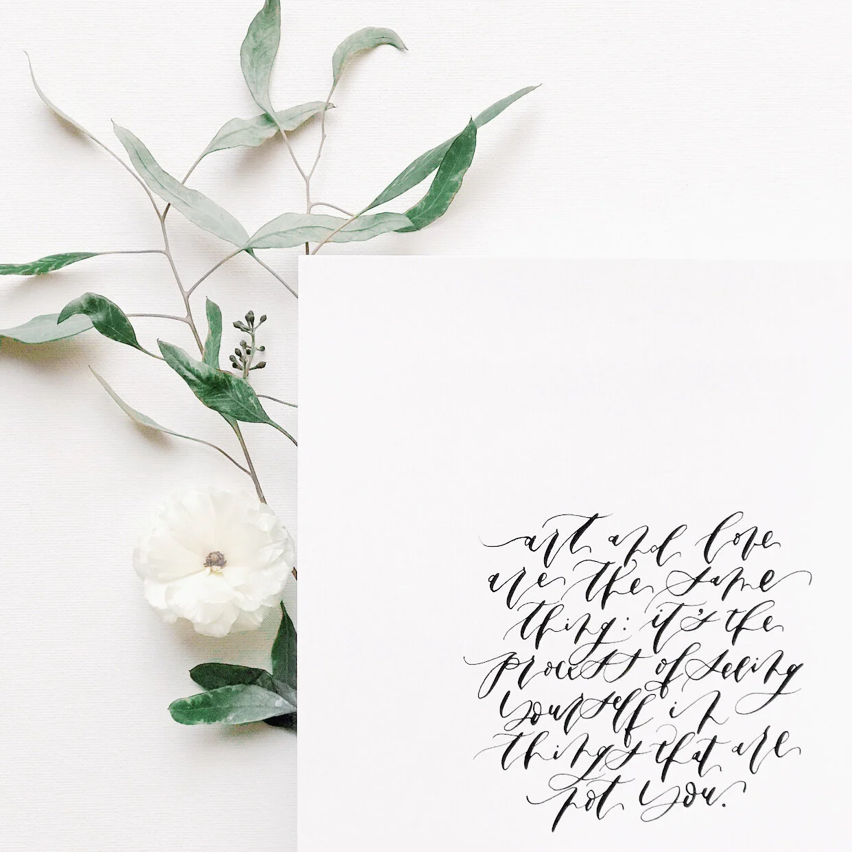 Image 1242.0x1656.0.jpg