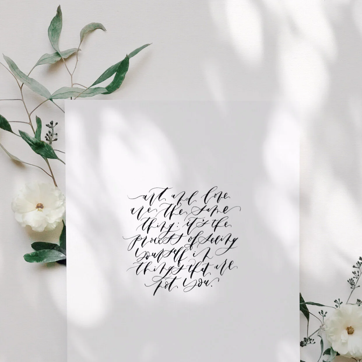 Image 1242.0x1242.0.jpg