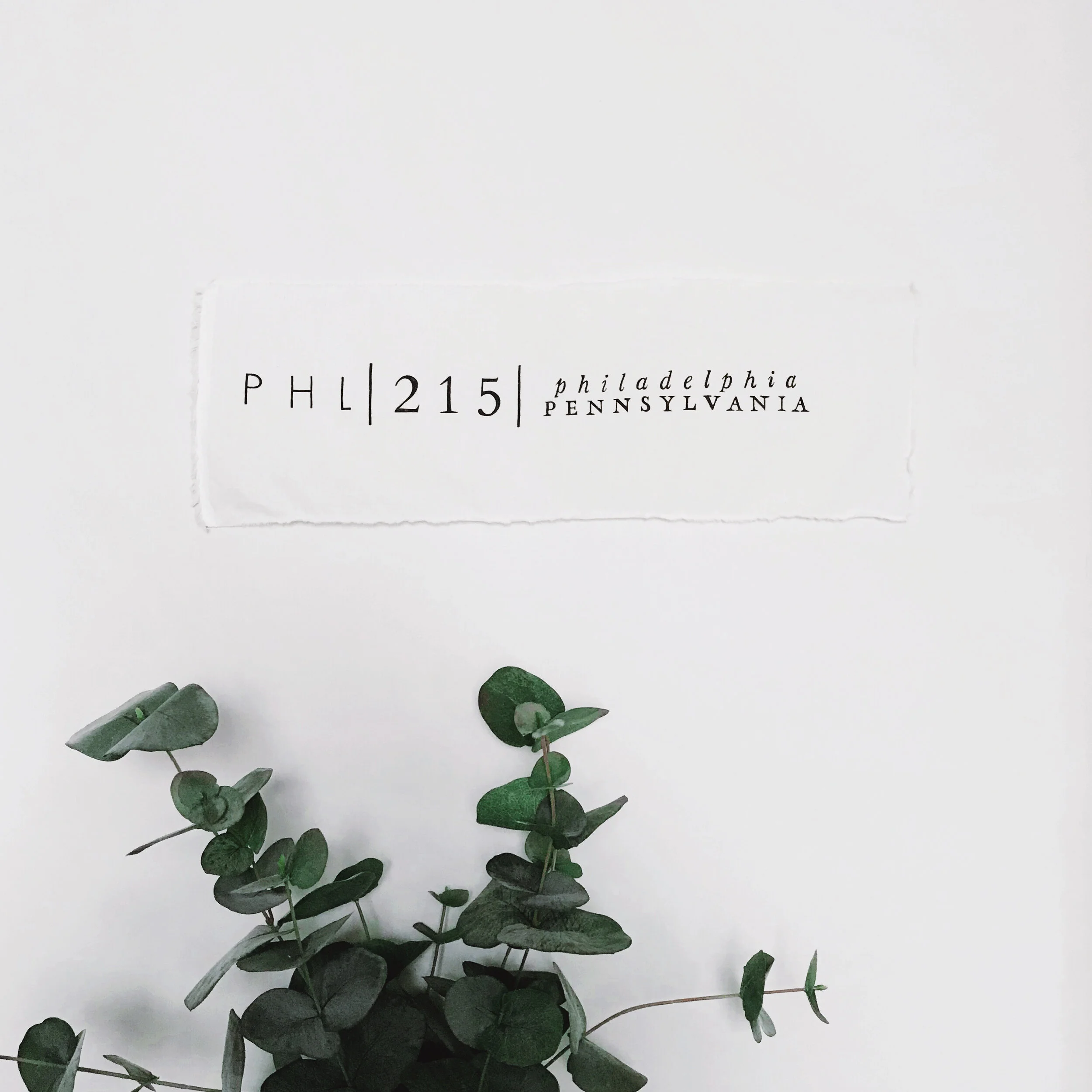 Image 3024.0x4032.0.jpg