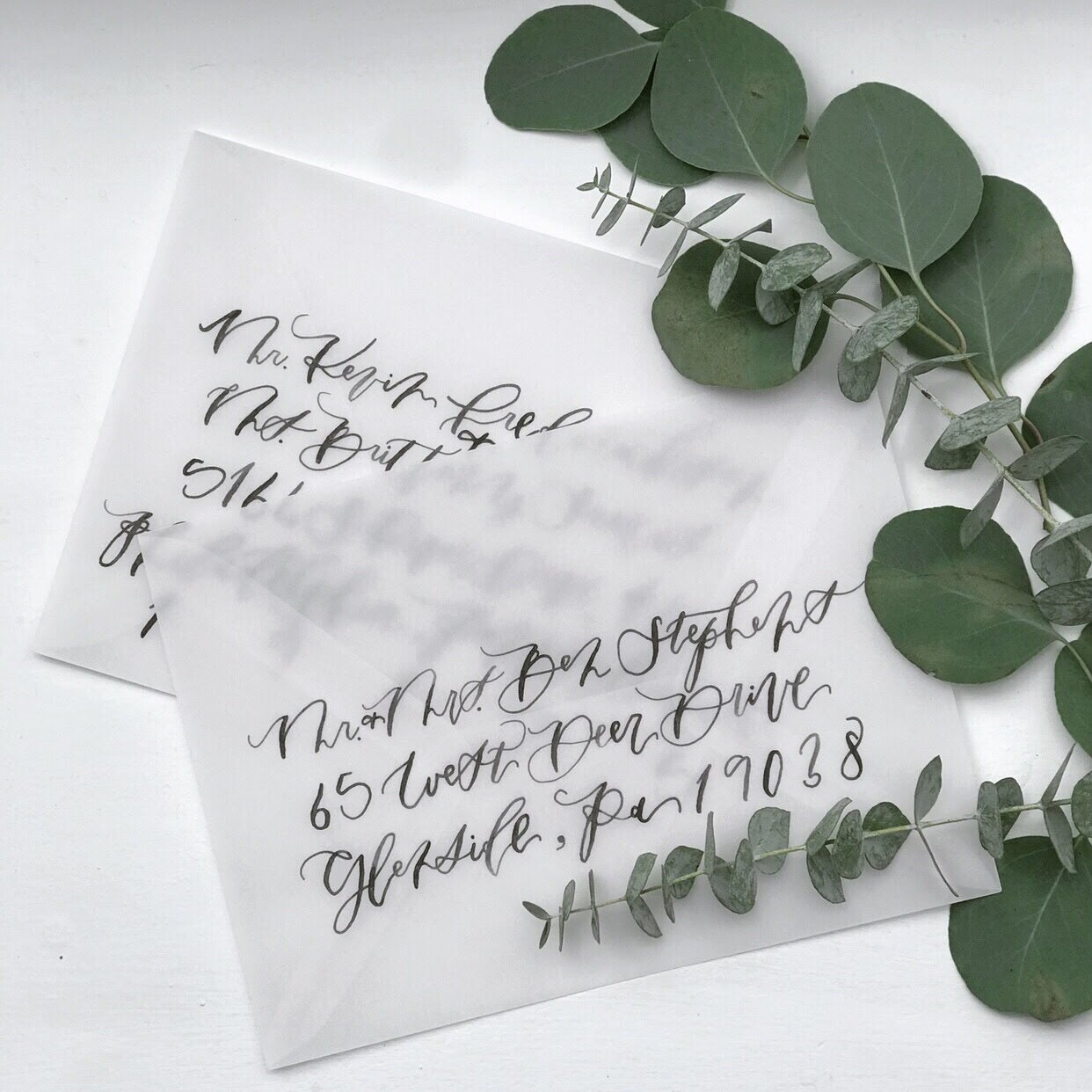 Image 1242.0x1242.0-6.jpg