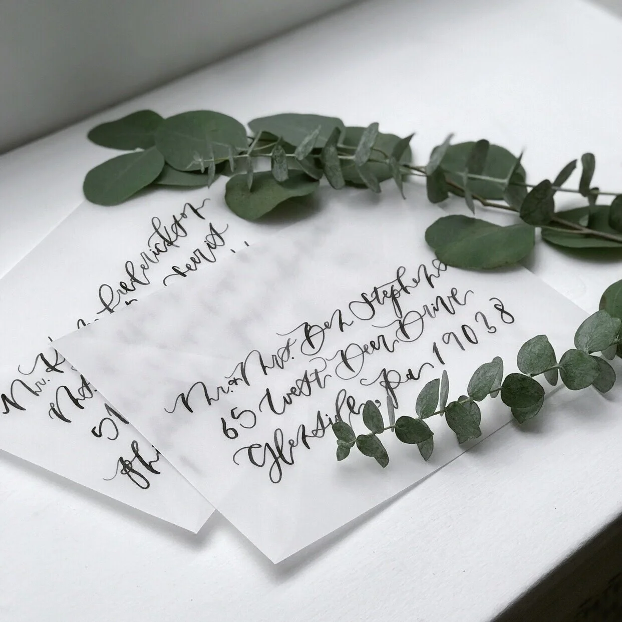 Image 1242.0x1242.0-5.jpg