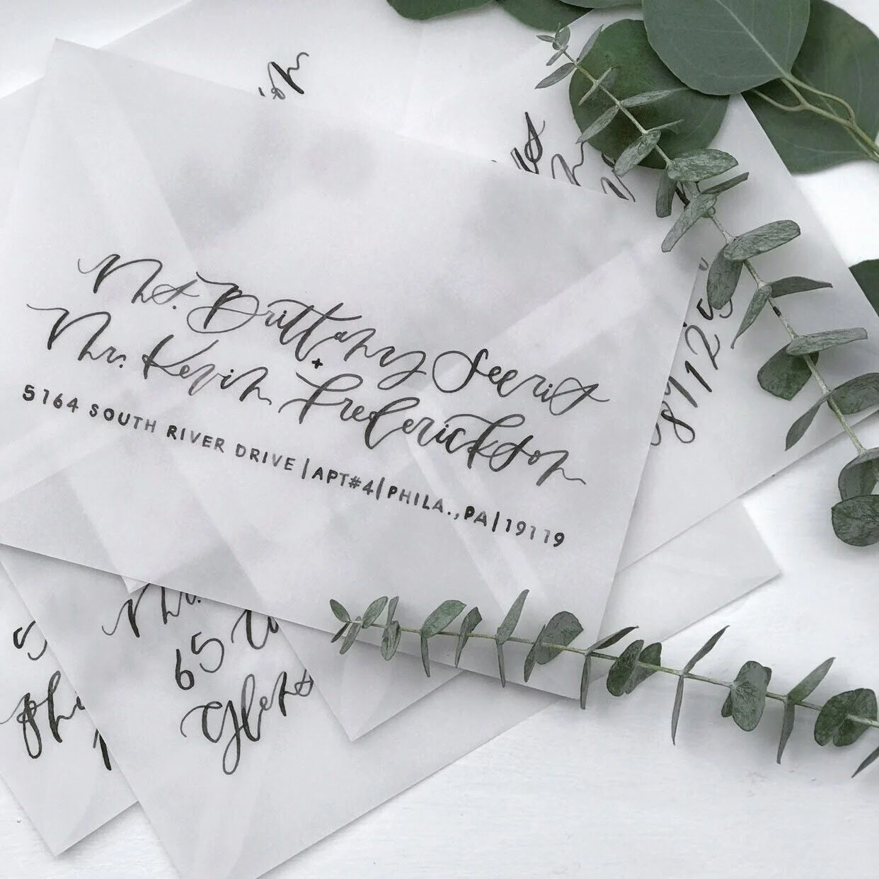 Image 1242.0x1242.0-7.jpg