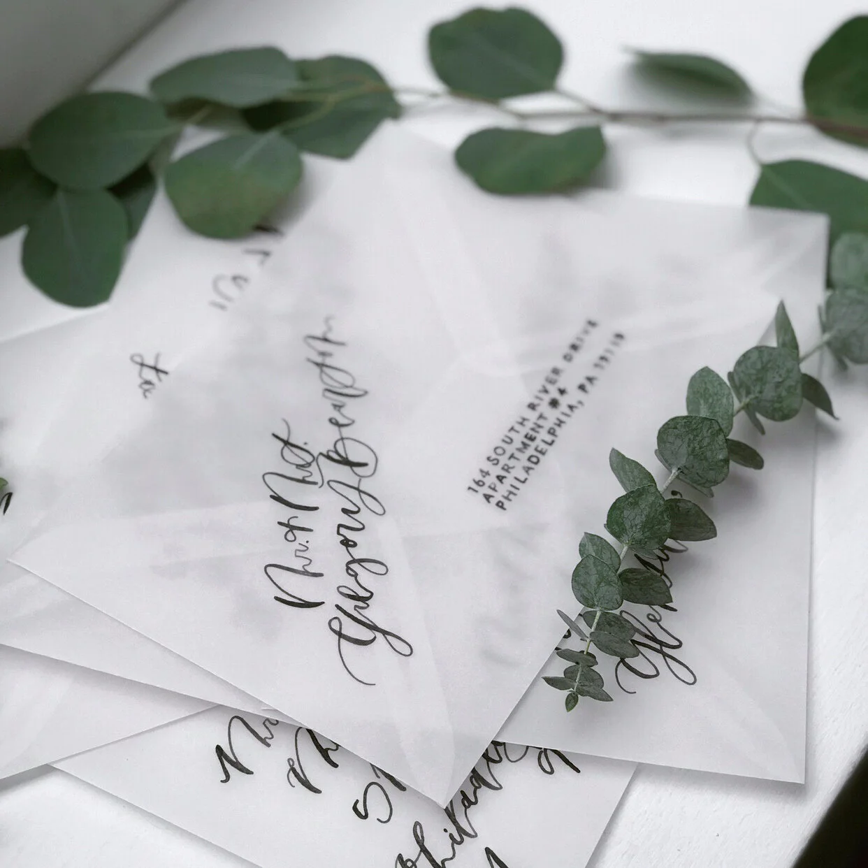 Image 1242.0x1656.0-24.jpg