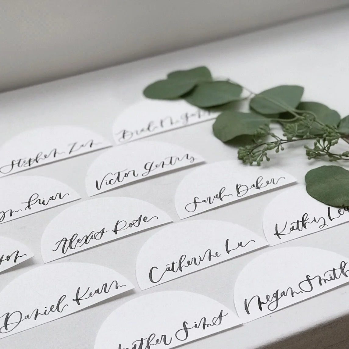 Image 1145.0x1145.0-2.jpg