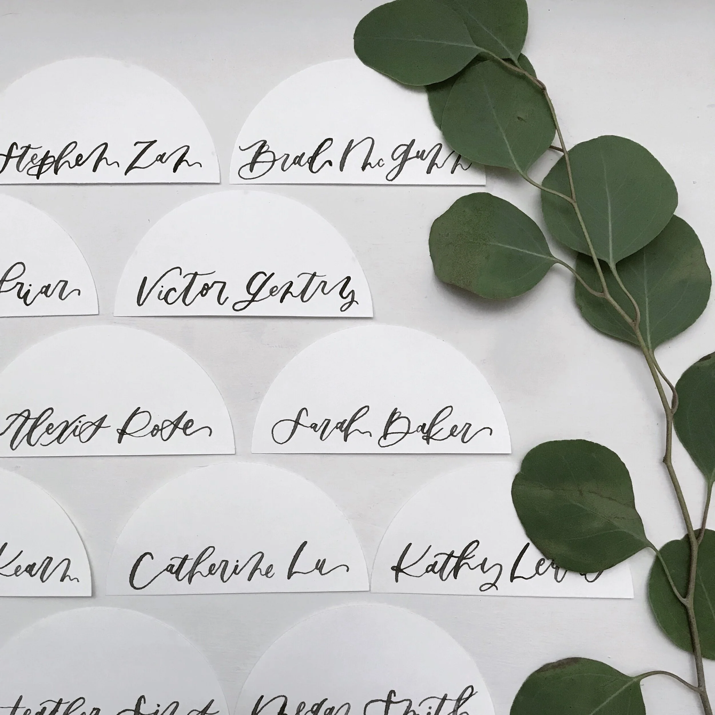 Image 3024.0x3024.0.jpg