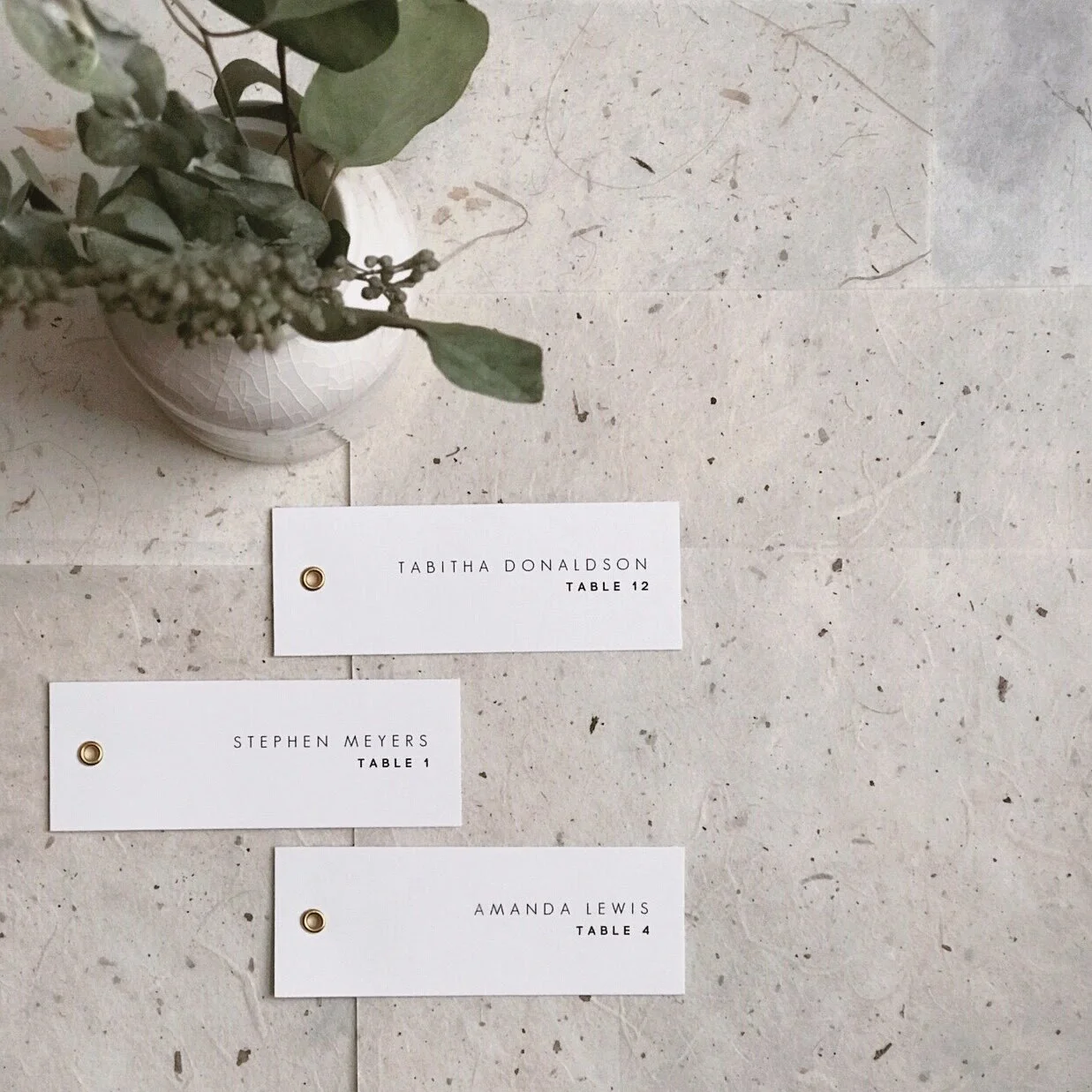 Image 1237.0x1237.0.jpg