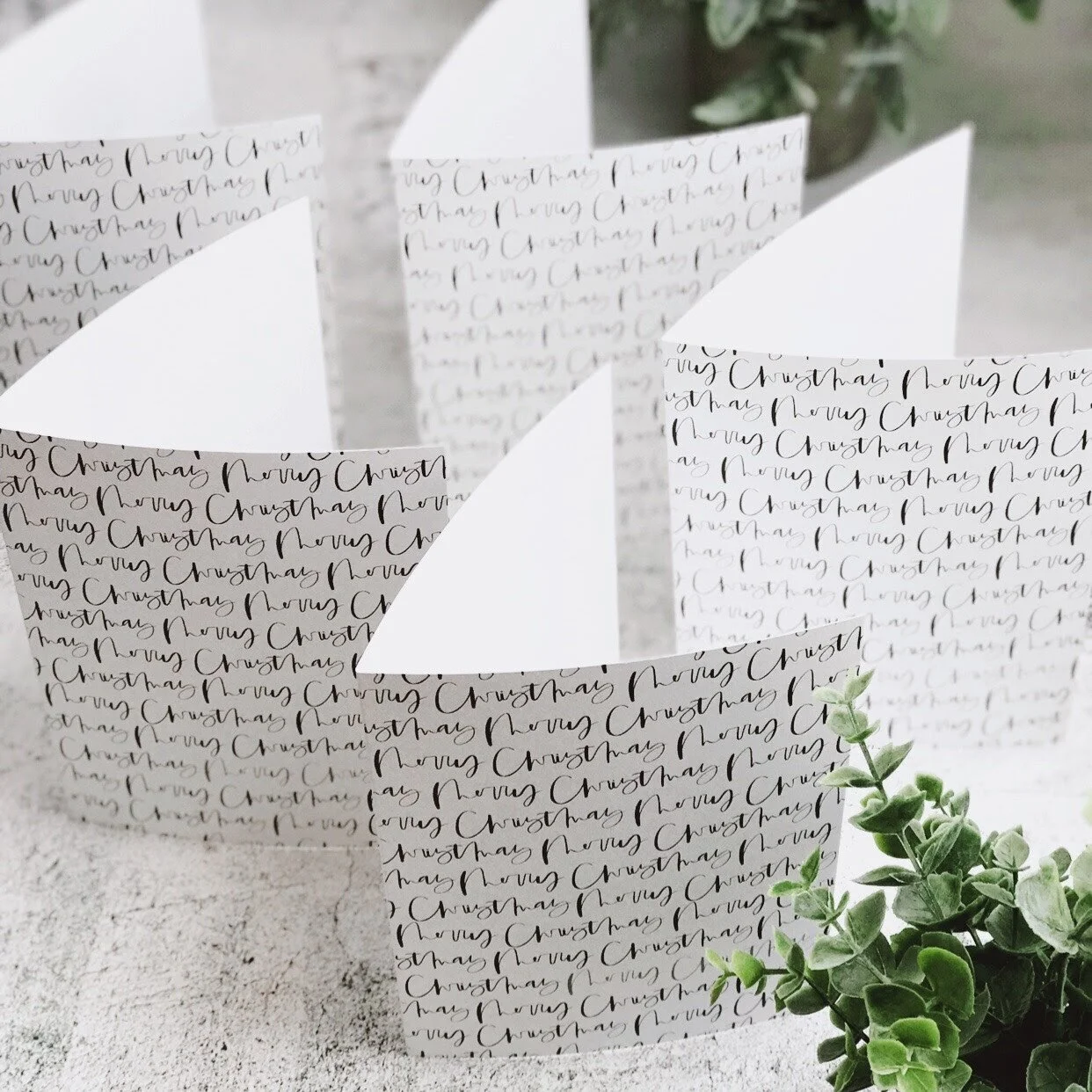 Image 1242.0x1242.0-25.jpg