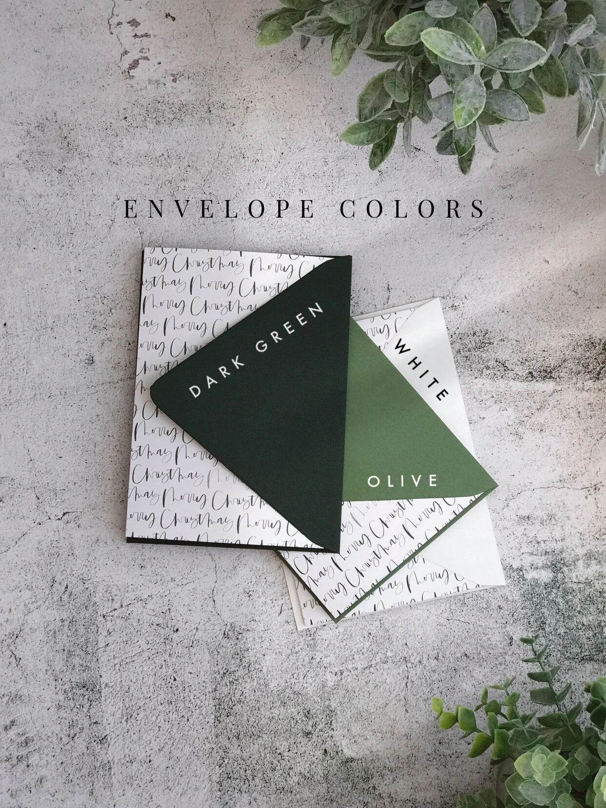 Image 1242.0x1656.0-37.jpg