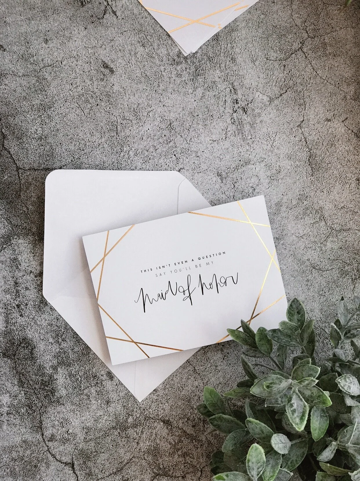 Image 1242.0x1656.0-38.jpg