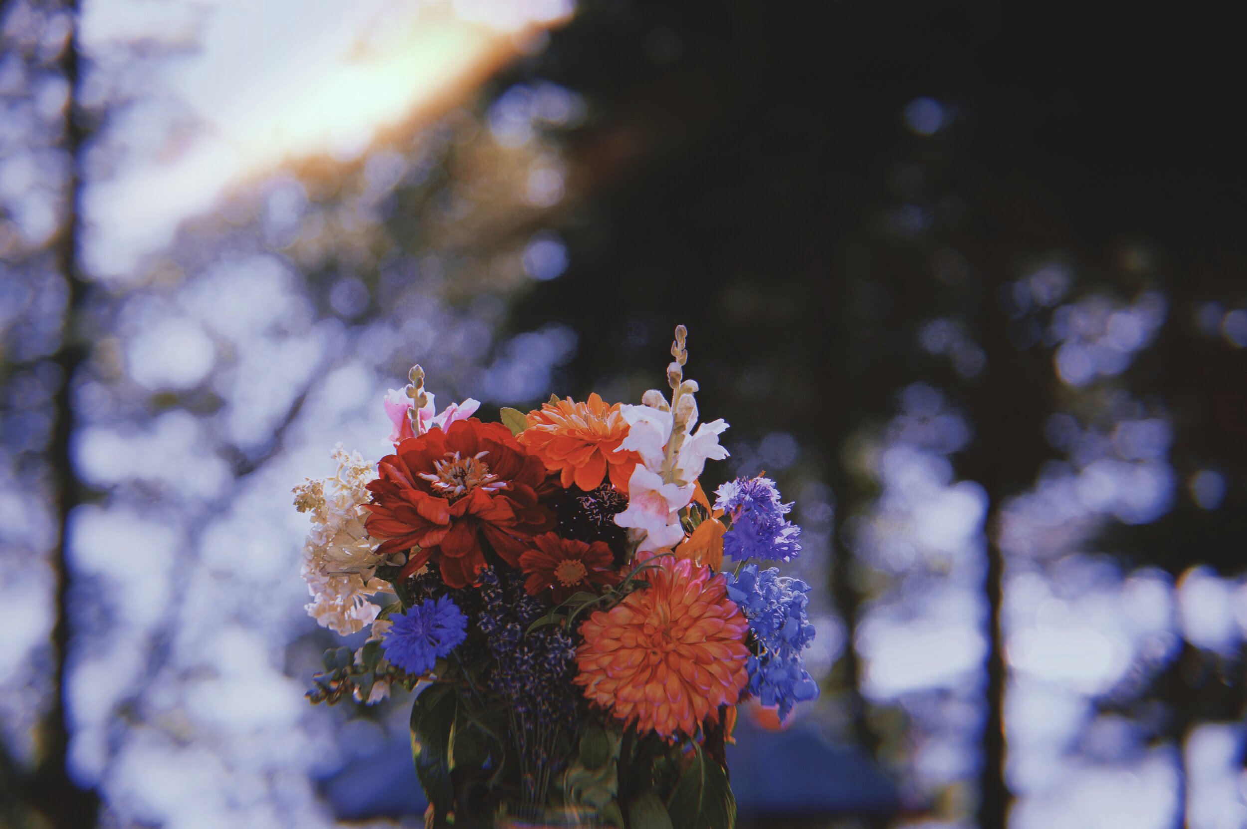 2020-11-05 00_38_18.225.jpg