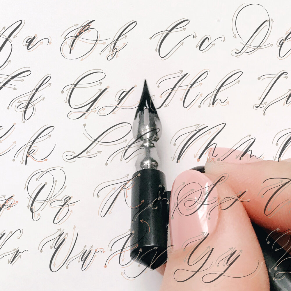 Intro to Modern Calligraphy Workbook (Printable PDF Version