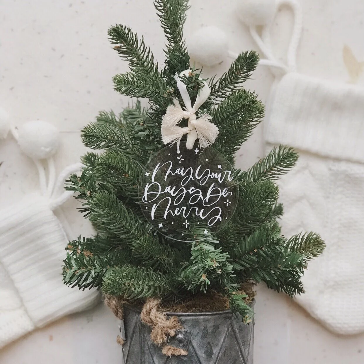 Image 1242.0x1242.0-3.jpg