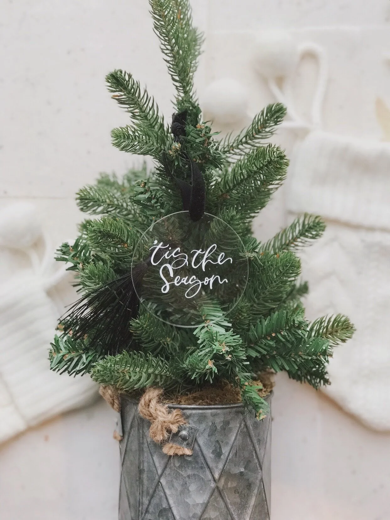 Image 1242.0x1656.0-19.jpg