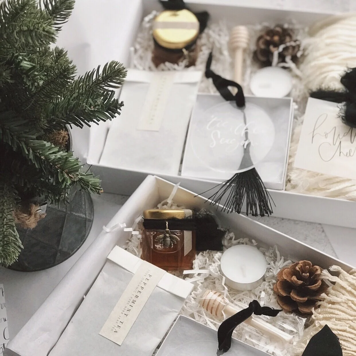 Image 1242.0x1242.0-22.jpg