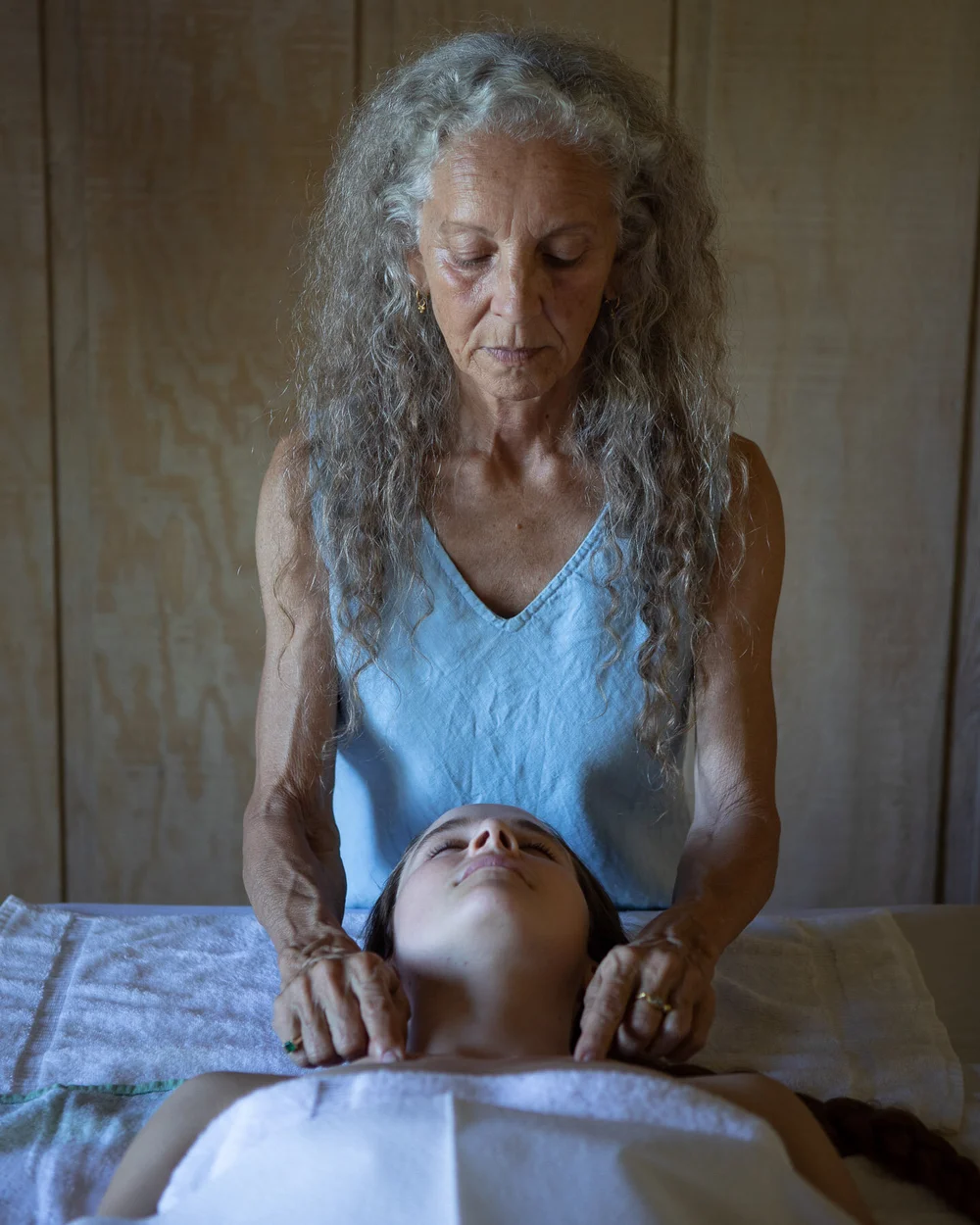 Ayurvedic Training Health Counselor — Hale Pule Ayurveda & Yoga