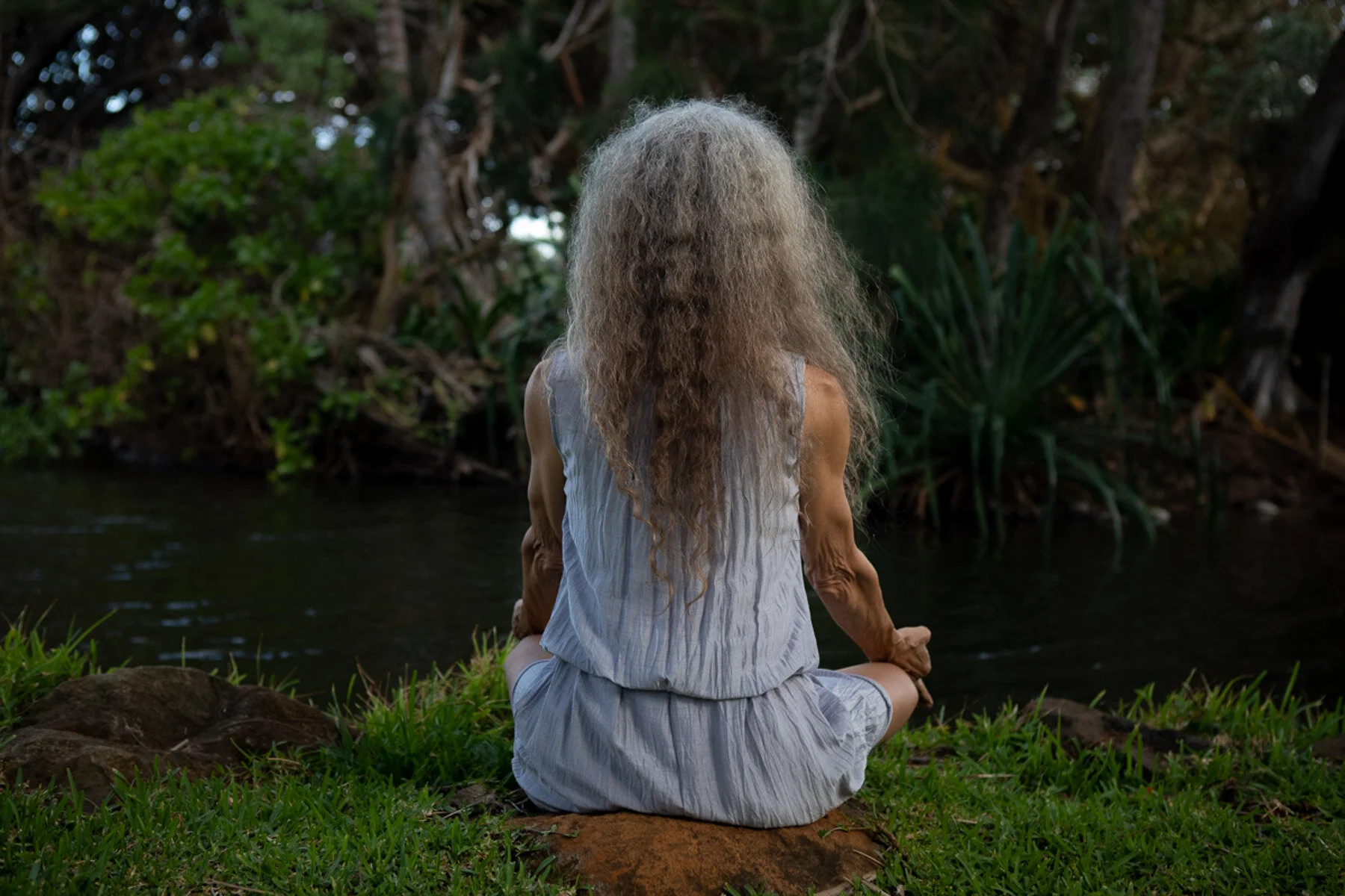 Ayurvedic Training Health Counselor — Hale Pule Ayurveda & Yoga