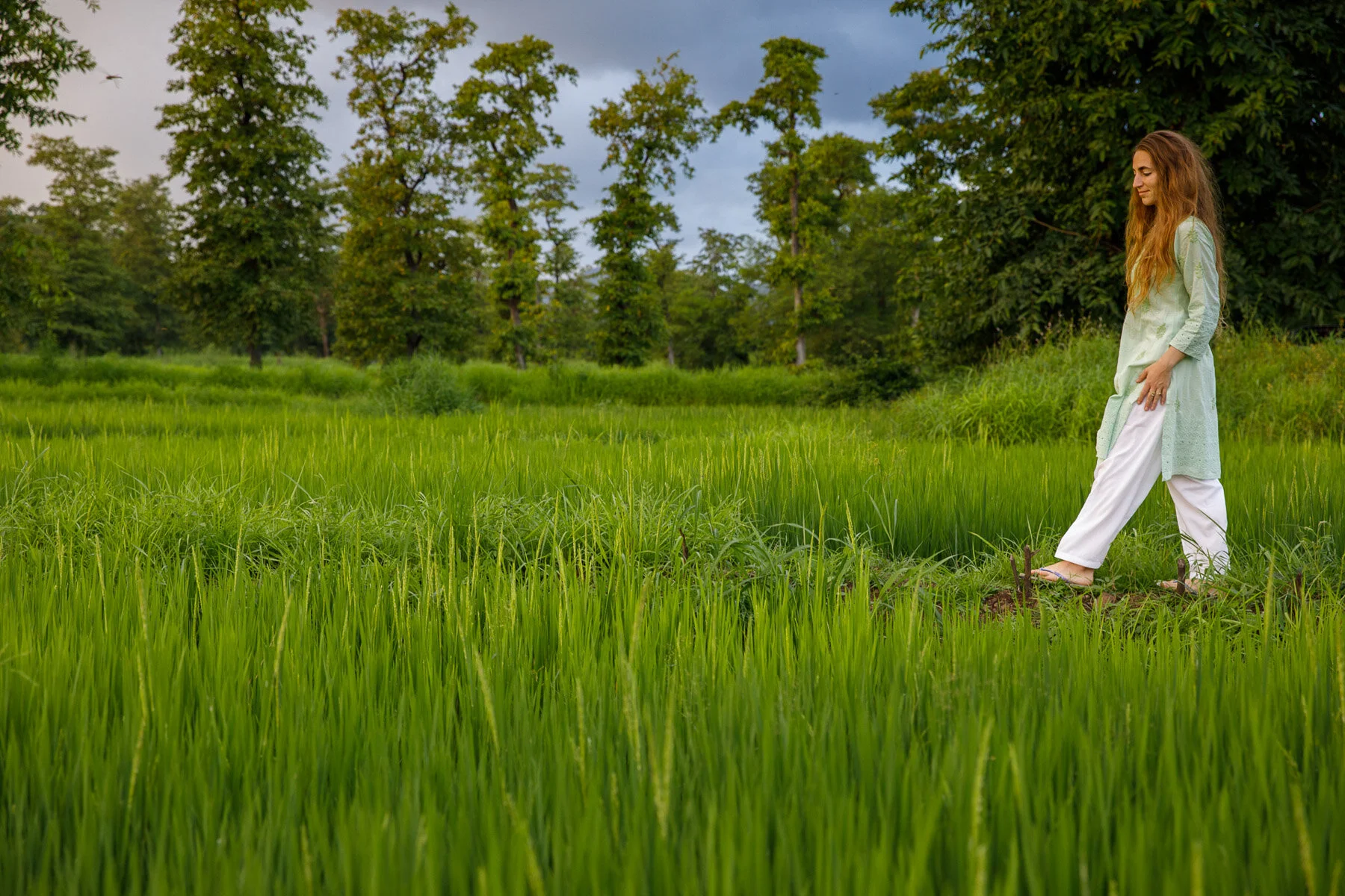 How to build ojas with brahmacharya — Hale Pule Ayurveda & Yoga