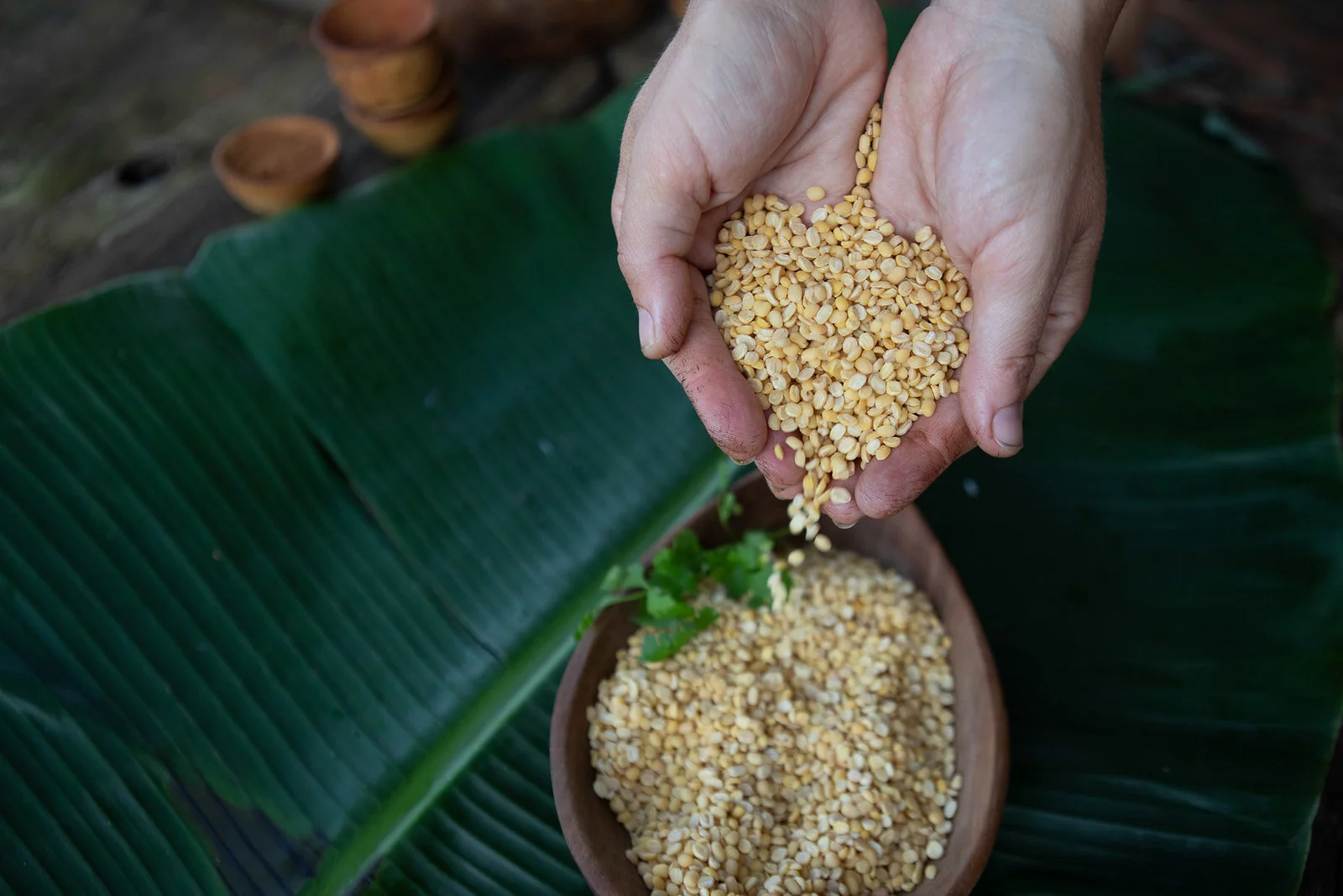 Simple Ayurvedic Recipe The incredible versatility of split mung