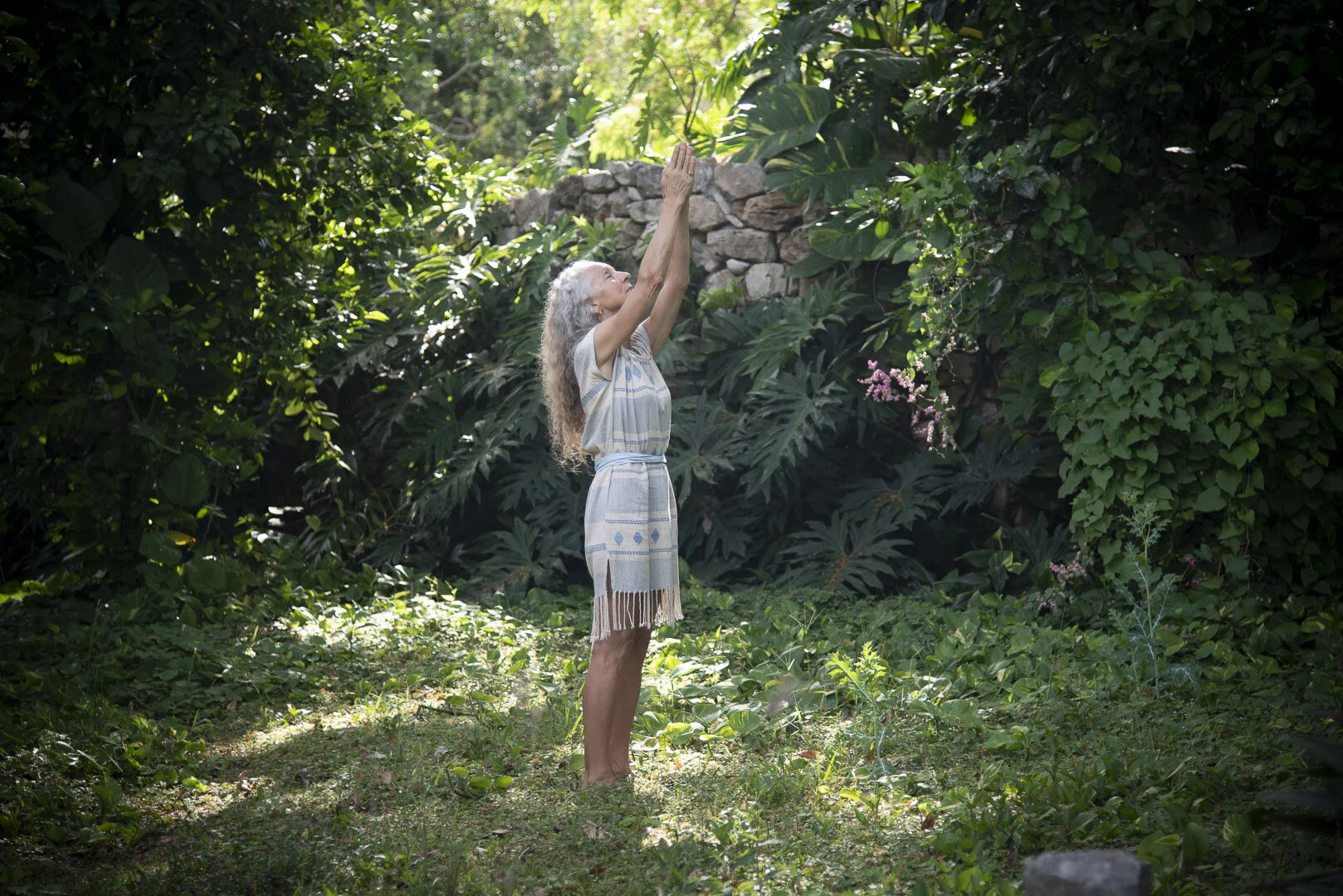 Ayurveda and Yoga School Hale Pule Ayurveda & Yoga