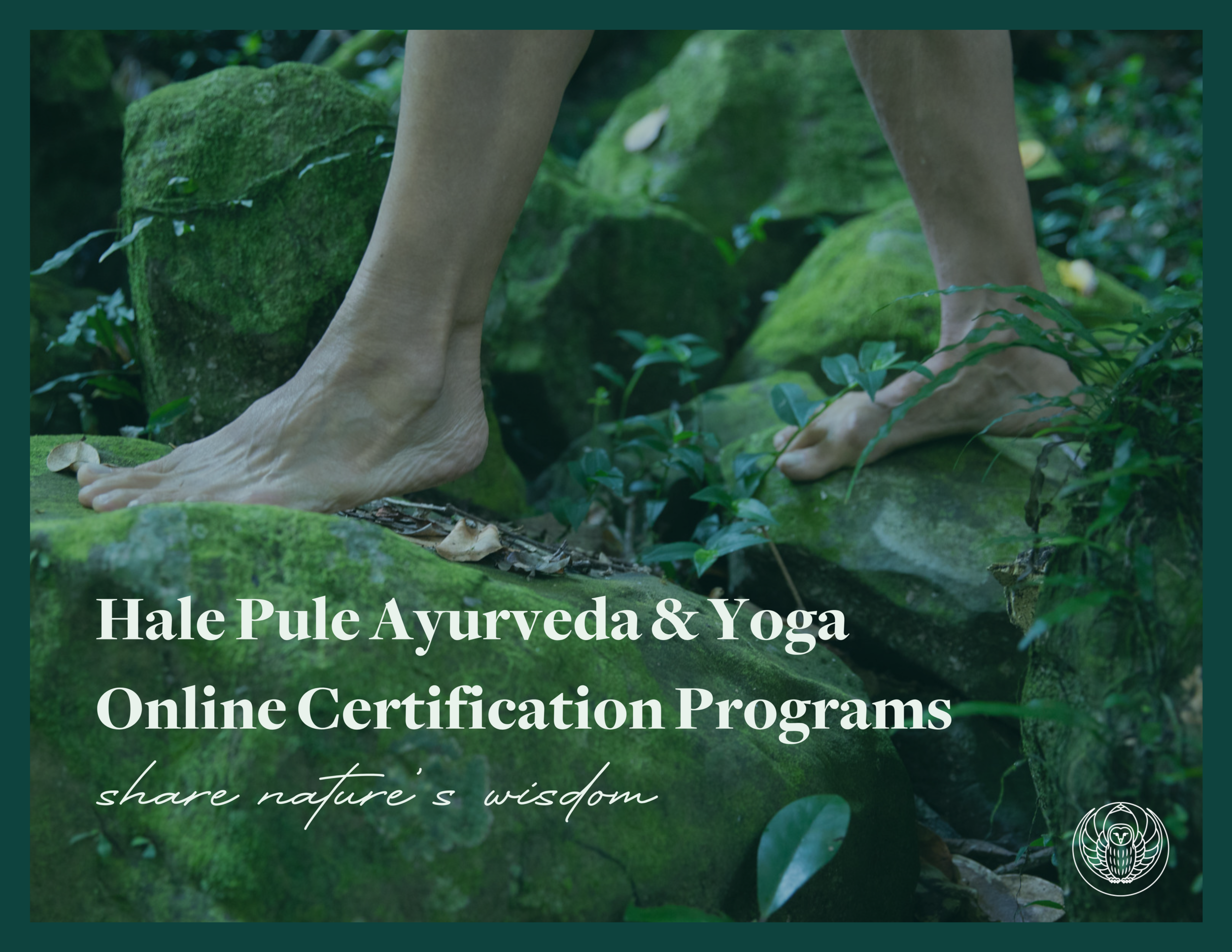 Ayurvedic Training Health Counselor — Hale Pule Ayurveda & Yoga