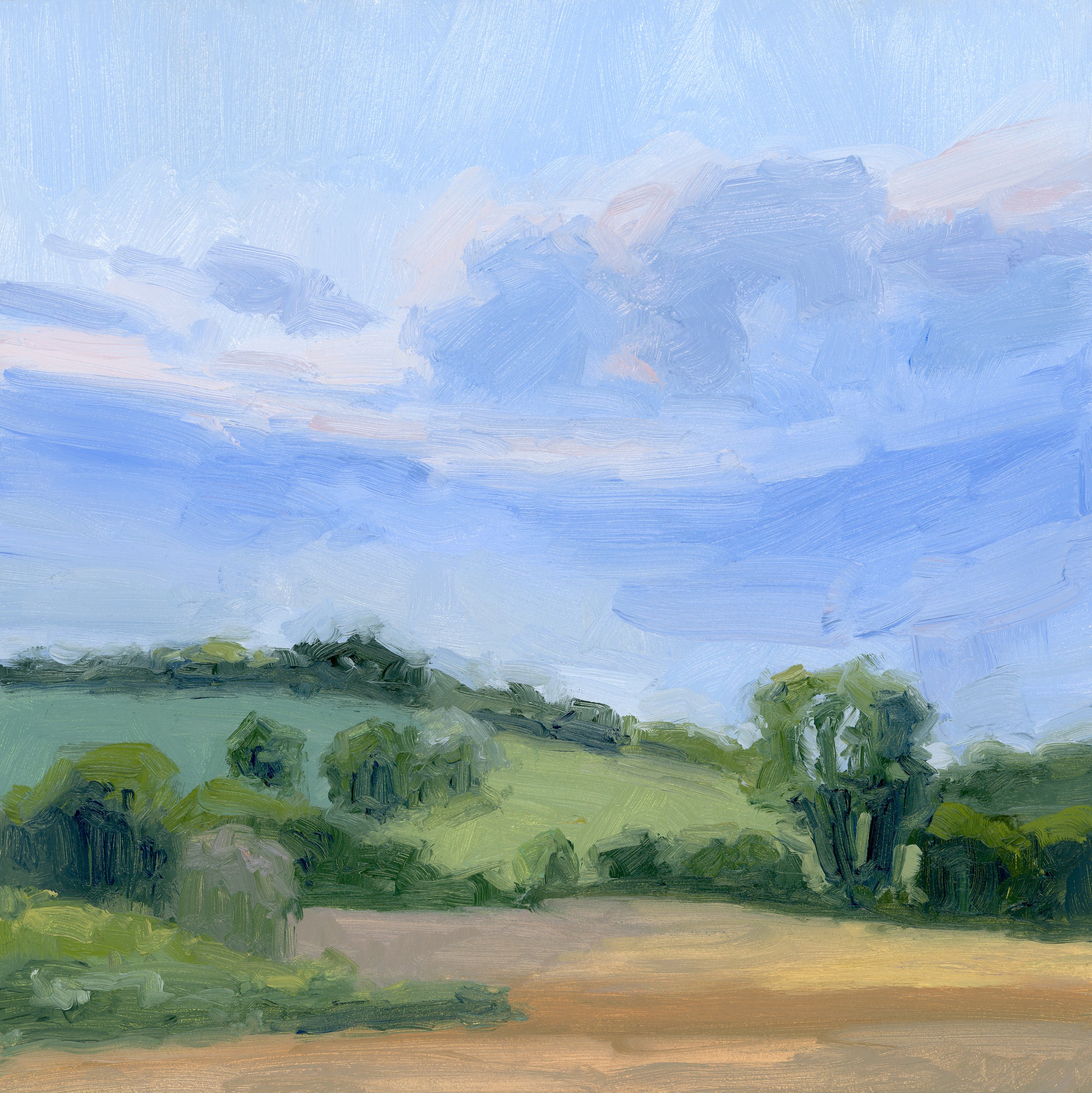 Hay Fields.jpg