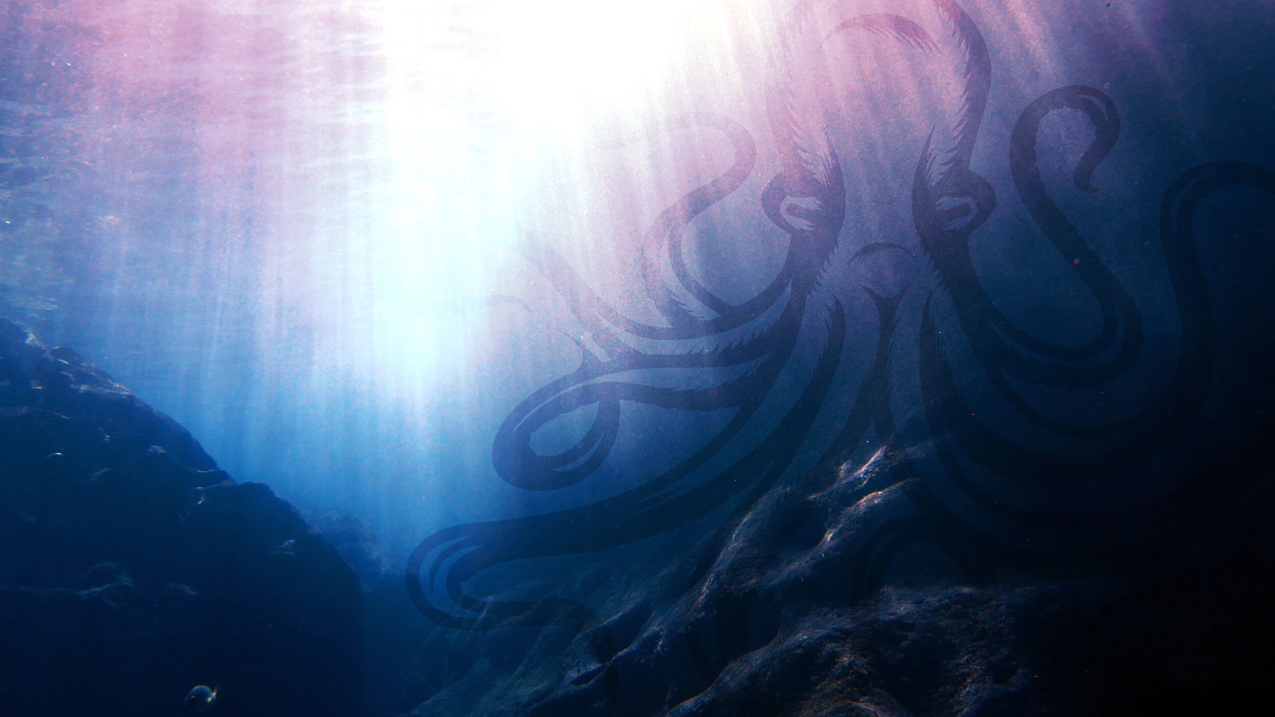 AdobeStock_164362254_tint_octo.jpg