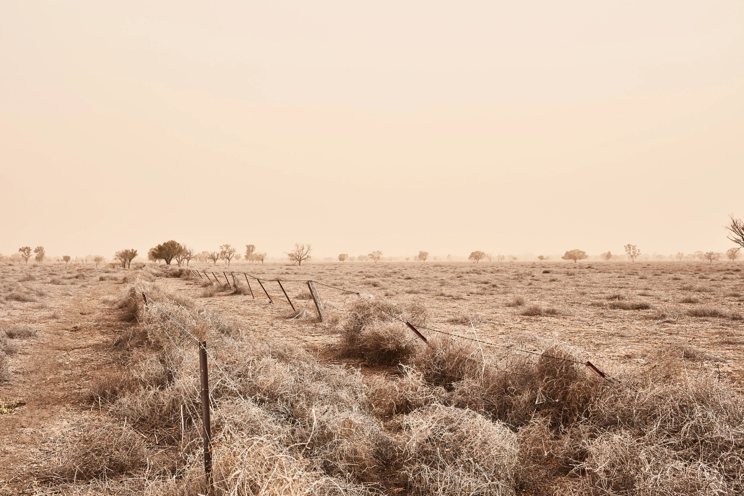 RVTLS_WALGETT 070.JPEG