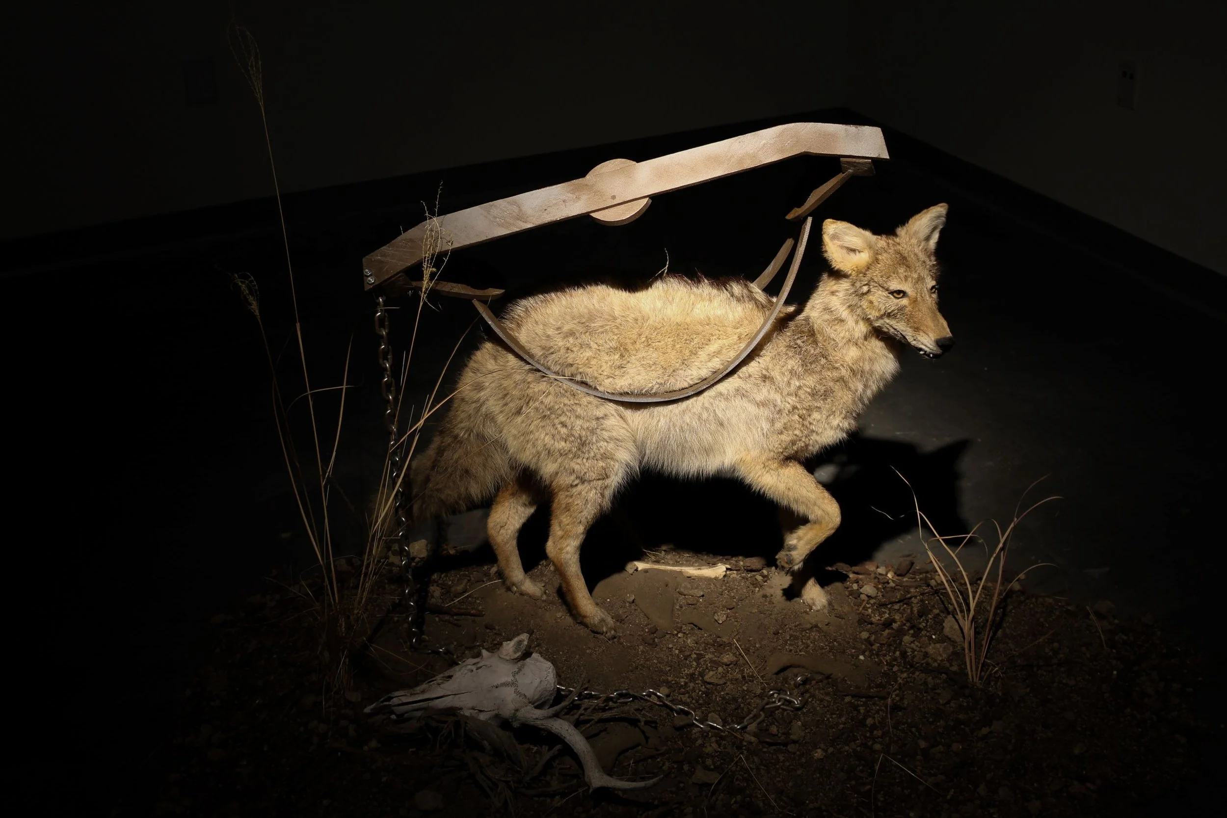 Somber Conclusionsedit.jpg