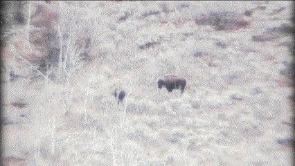 Utah hunt - Made with Clipchamp.gif