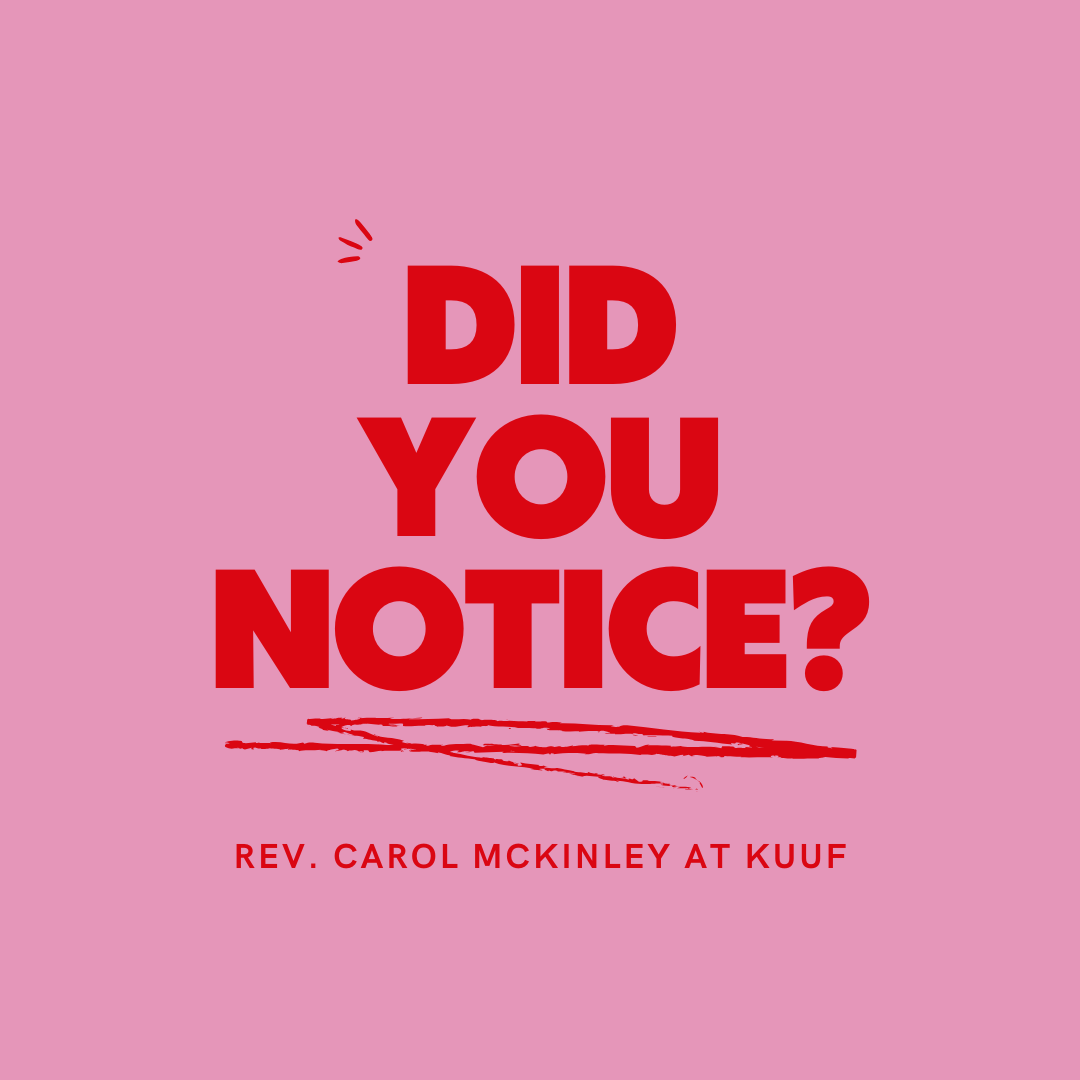 Rev. Carol McKinley presents Did You Notice?