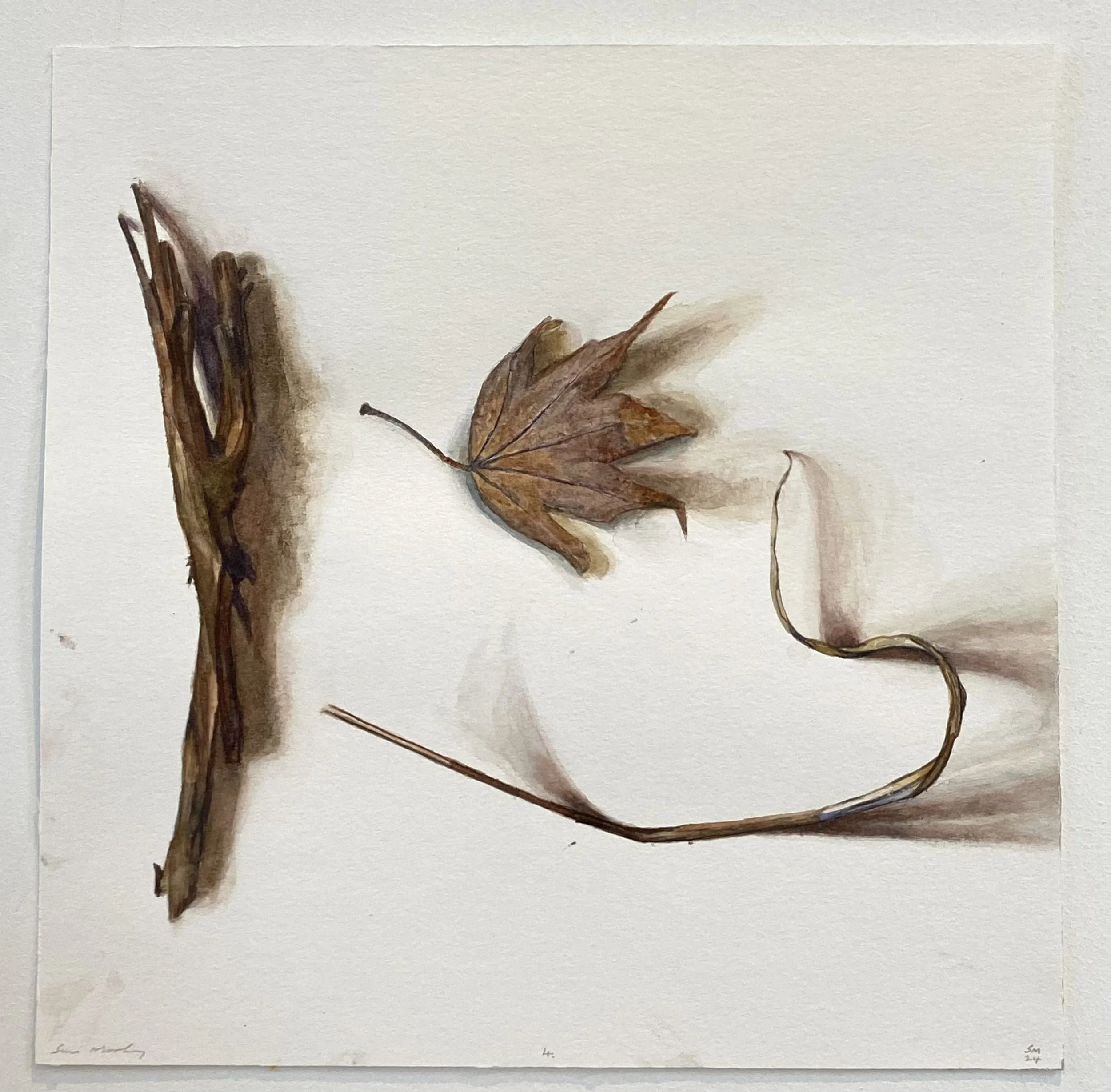 Hope Springs Eternal