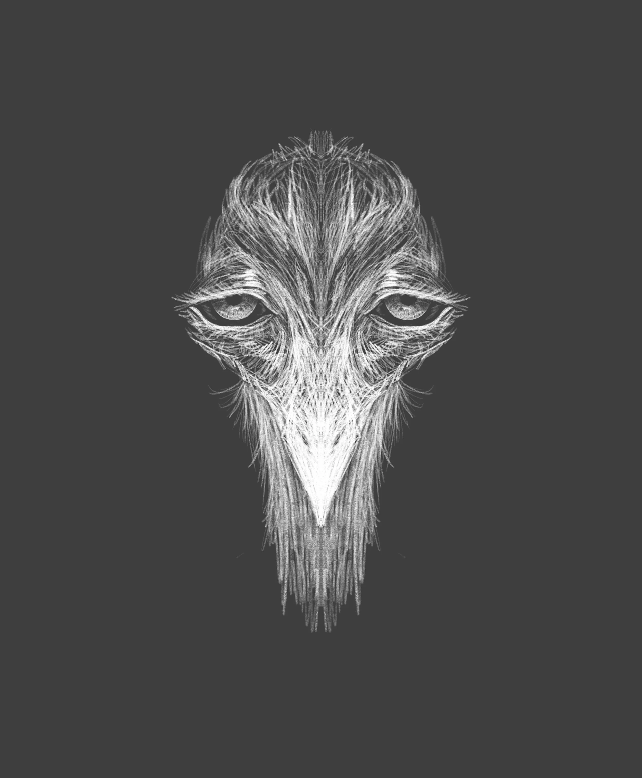 Untitled_Artwork 49.jpg