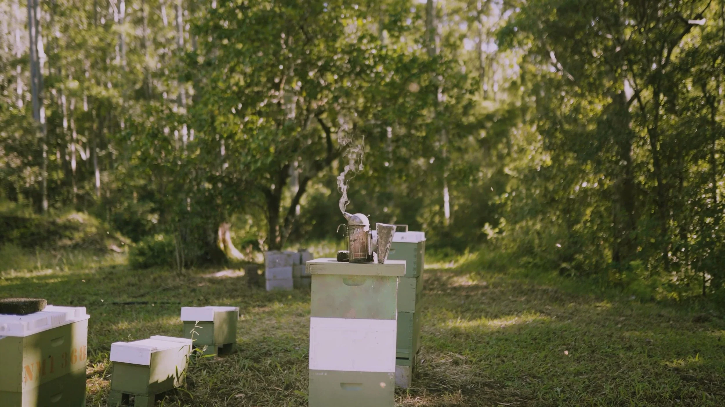 Aidan Grant 2 .00_00_51_45.jpg