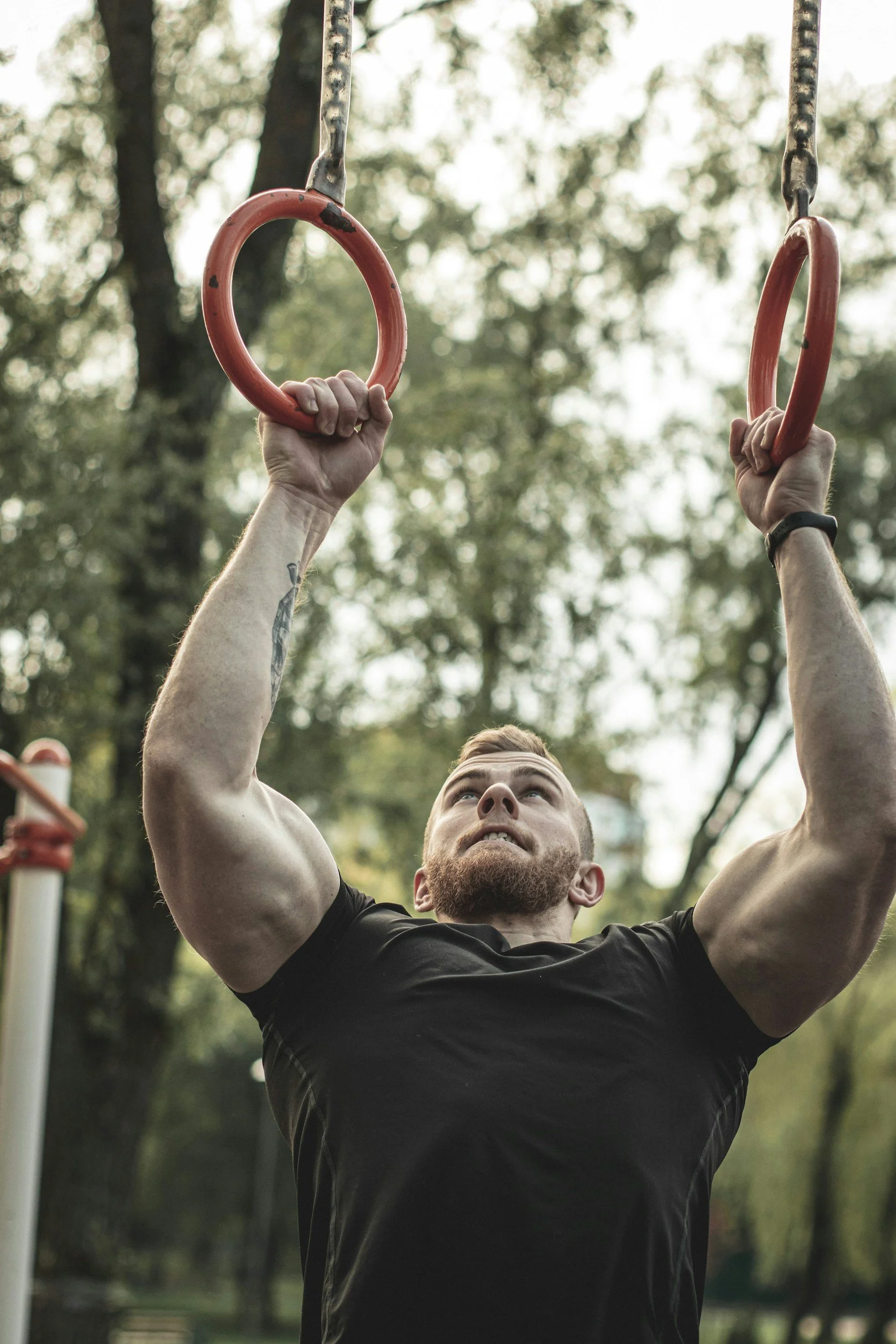 Calisthenics mit Lulu