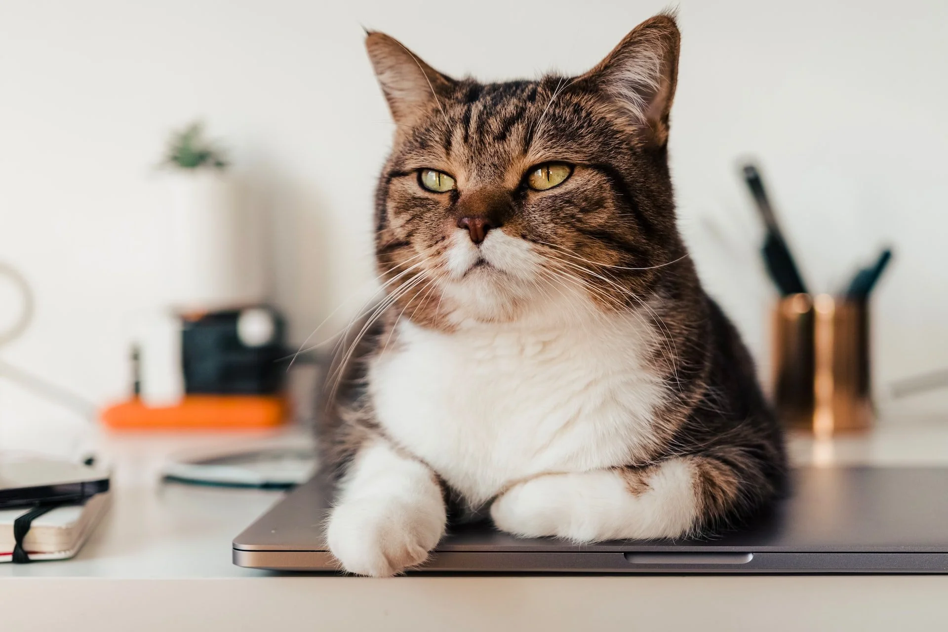 8 Life-Affirming Benefits of Work Life Balance