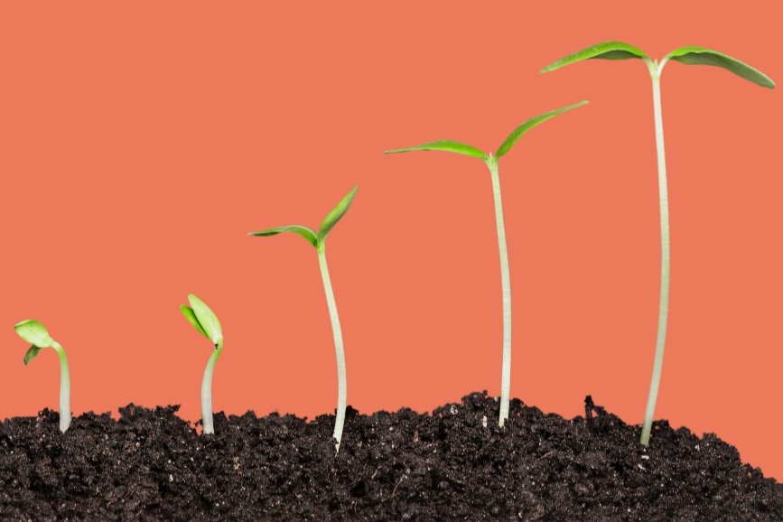 Goodbye, Productivity Guilt: A Guide to Emotional Freedom