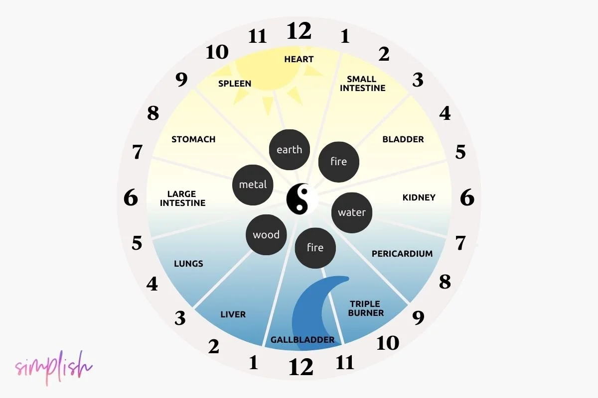 Understanding the Chinese Body Clock A Holistic Approach to Wellbeing
