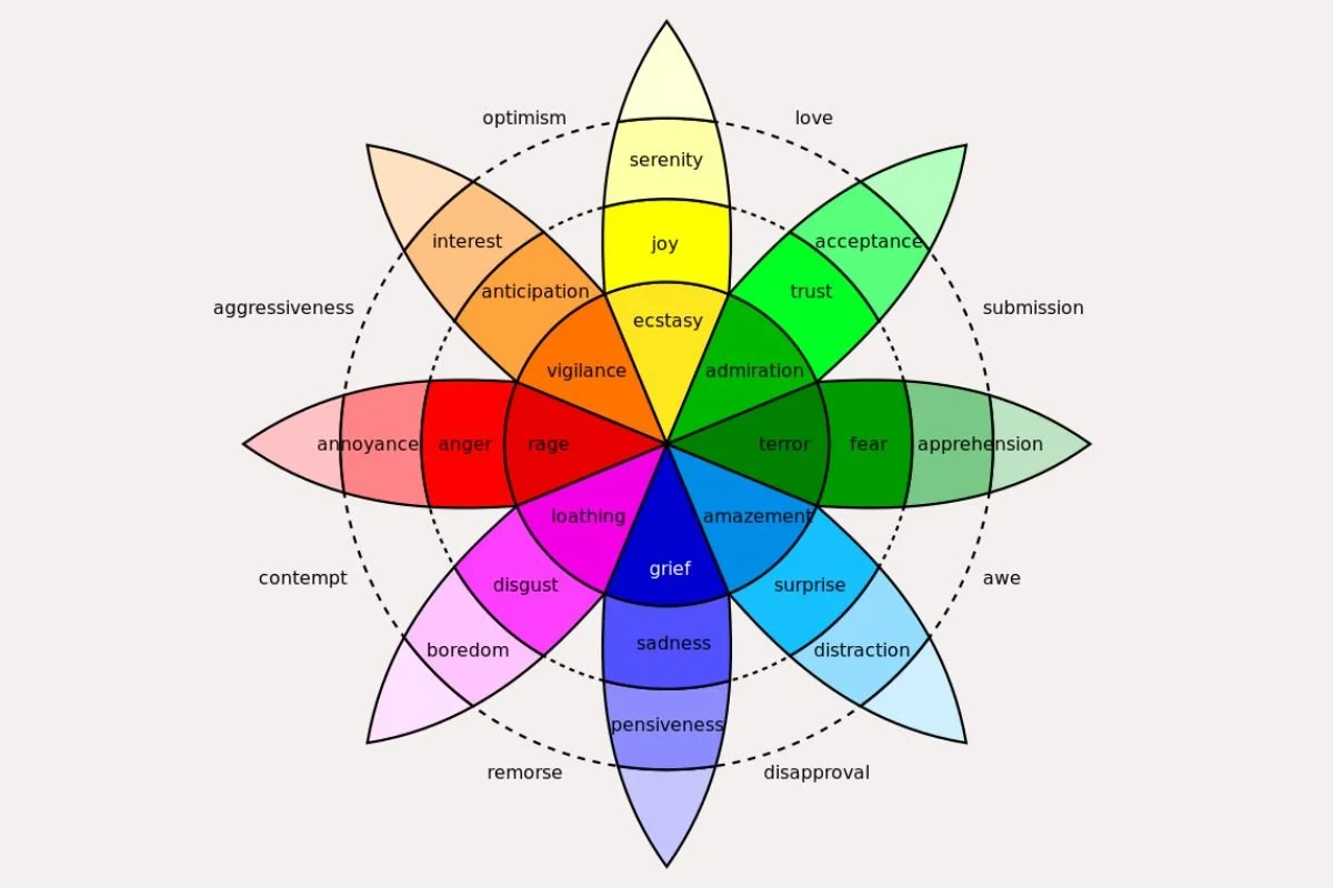 The Emotion Wheel: What is It and How Do You Use It?