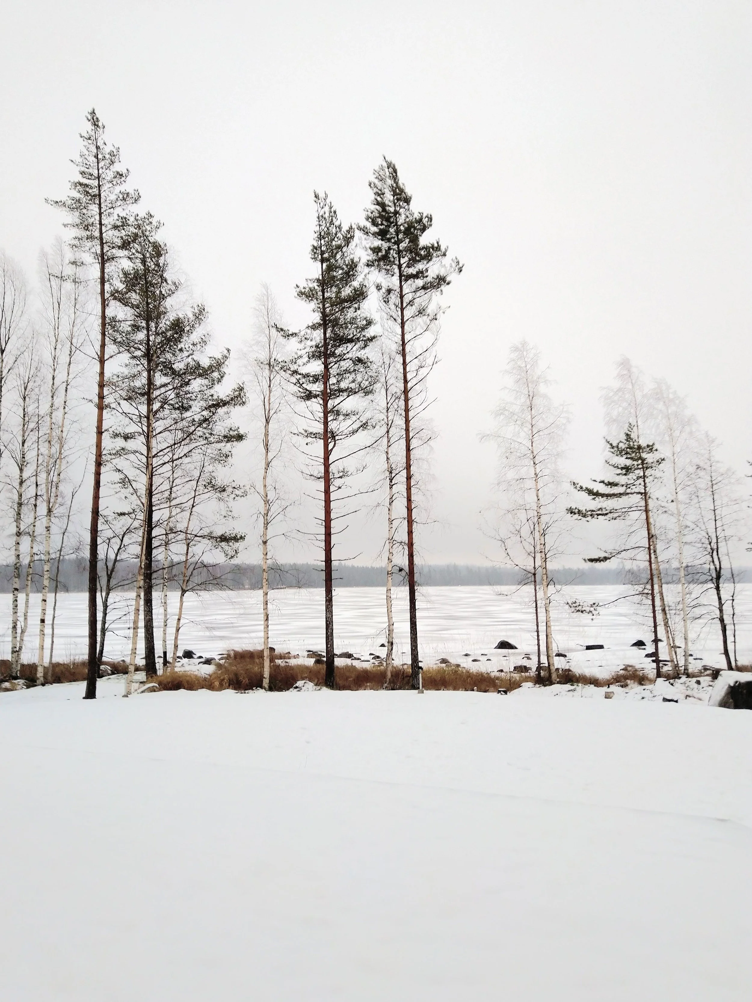 salla-ark-villa-visio-ranta.jpg
