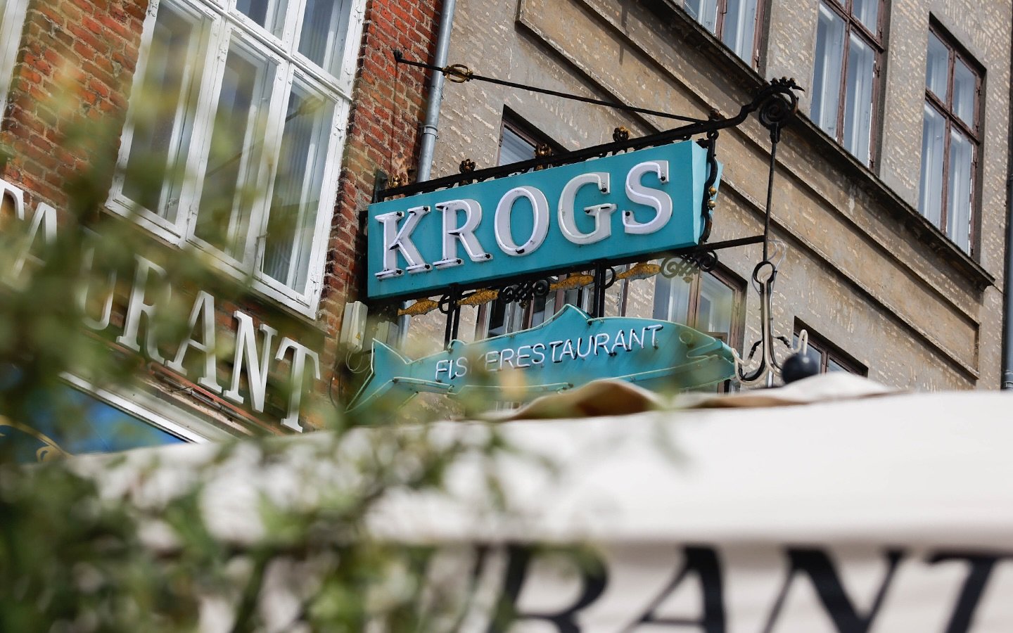 Eksklusiv gen&aring;bningsmenu til kun 299 kr.🎣

Renoveringen af @krogs_fiskerestaurant er snart f&aelig;rdig, og om kun 6 dage er vi klar til at byde jer velkommen i vores nye, smukke rammer!

I den forbindelse tilbyder vi en l&aelig;kker 3-retters