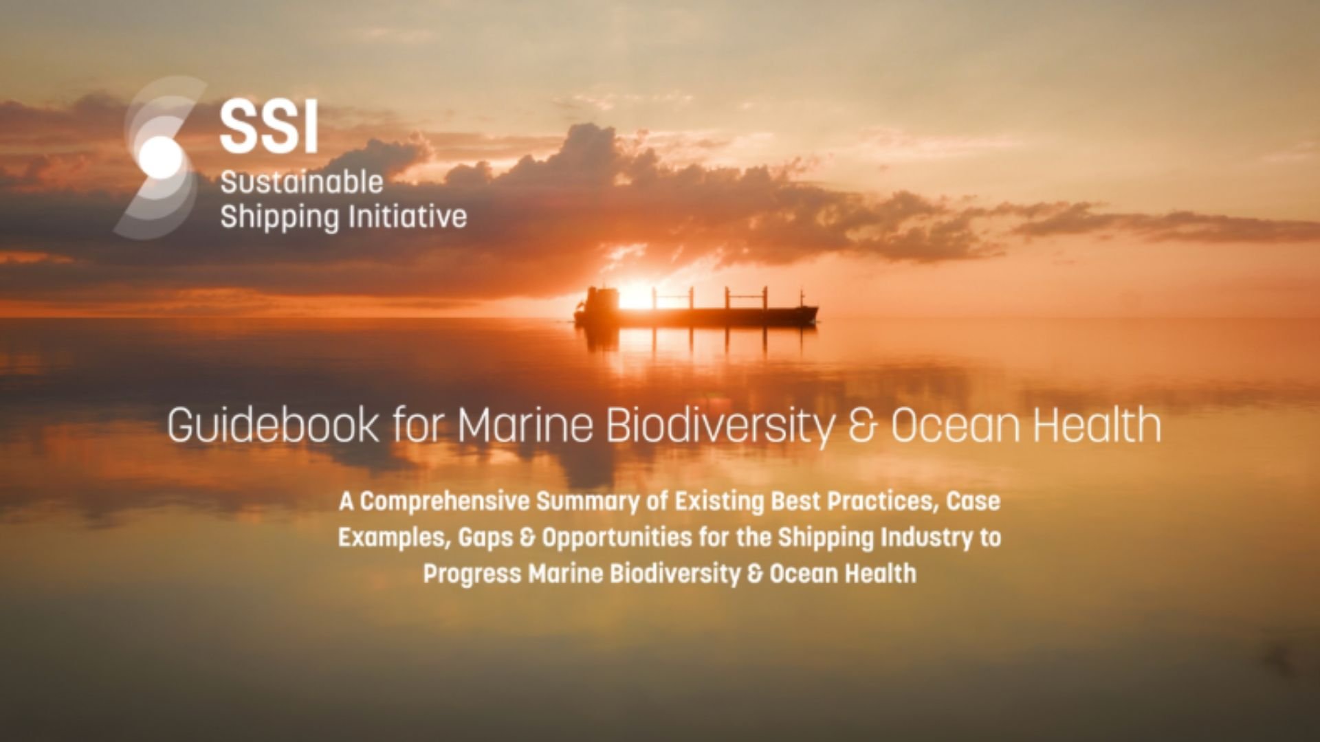 Sustainable Shipping Initiative