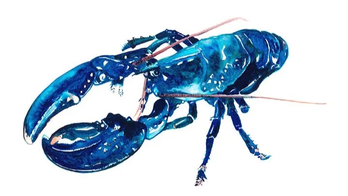Blue+Lobster.jpg