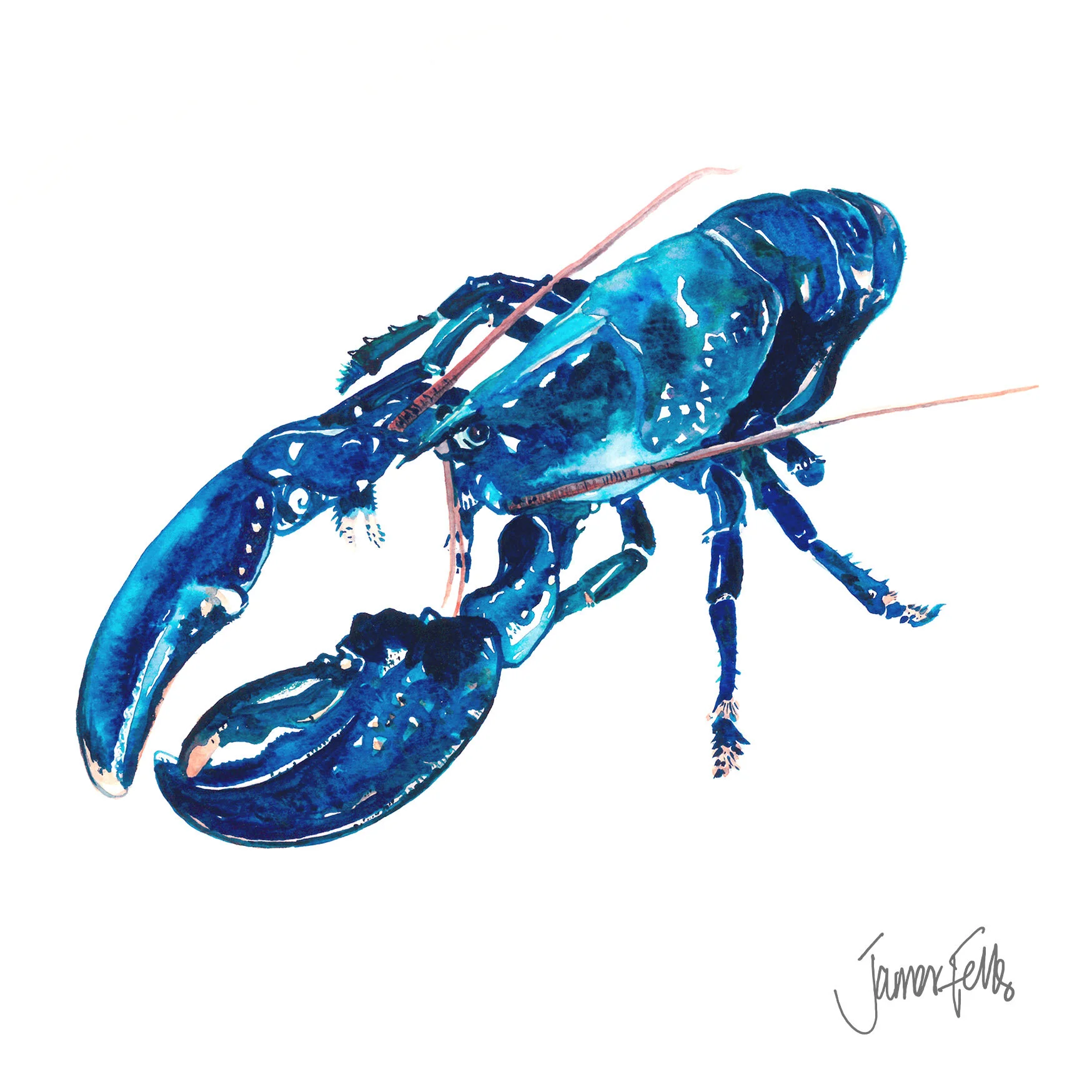 BLUE LOBSTER 5x5 CARD copy.jpg