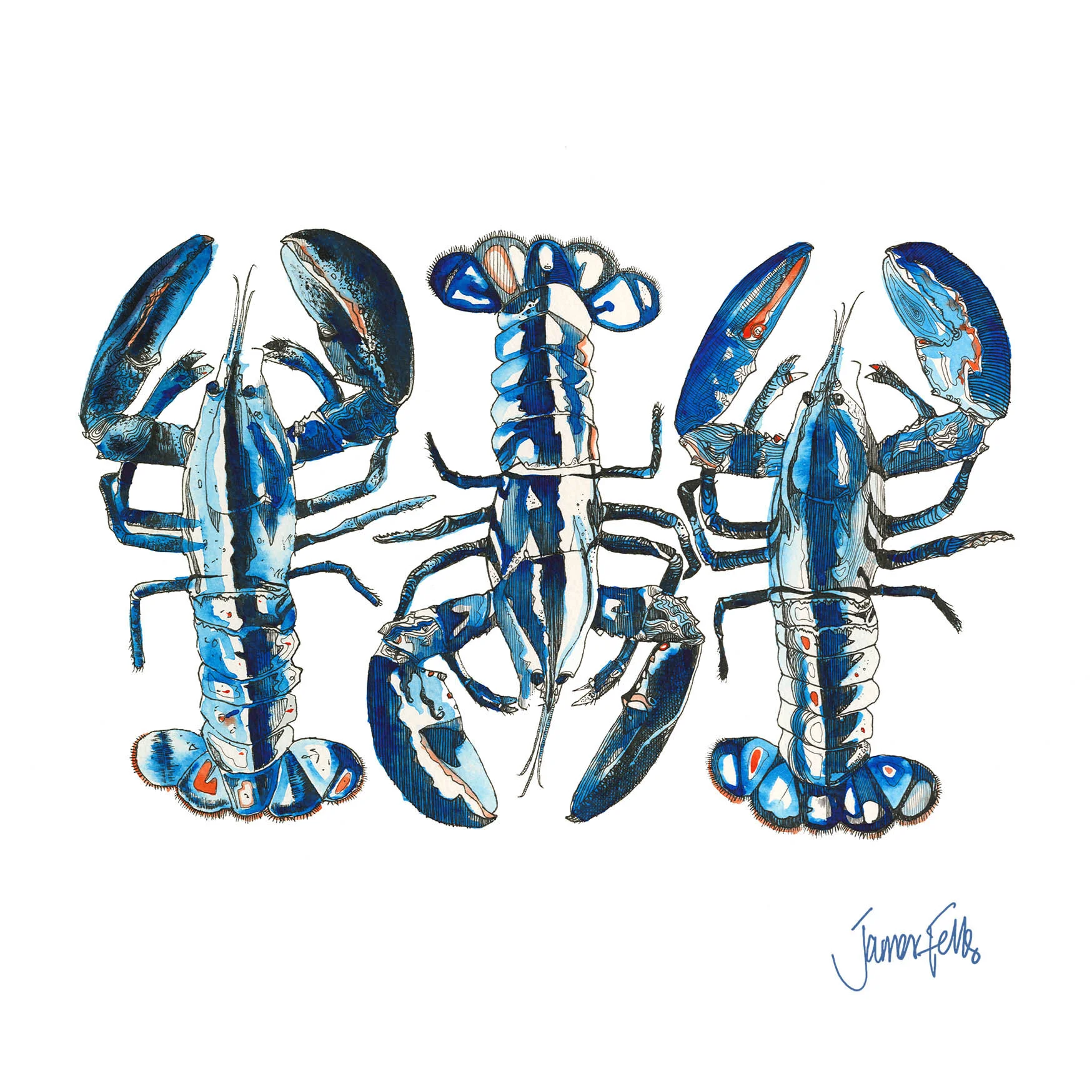 CLAW TO TAIL COL 5x5 CARD copy.jpg