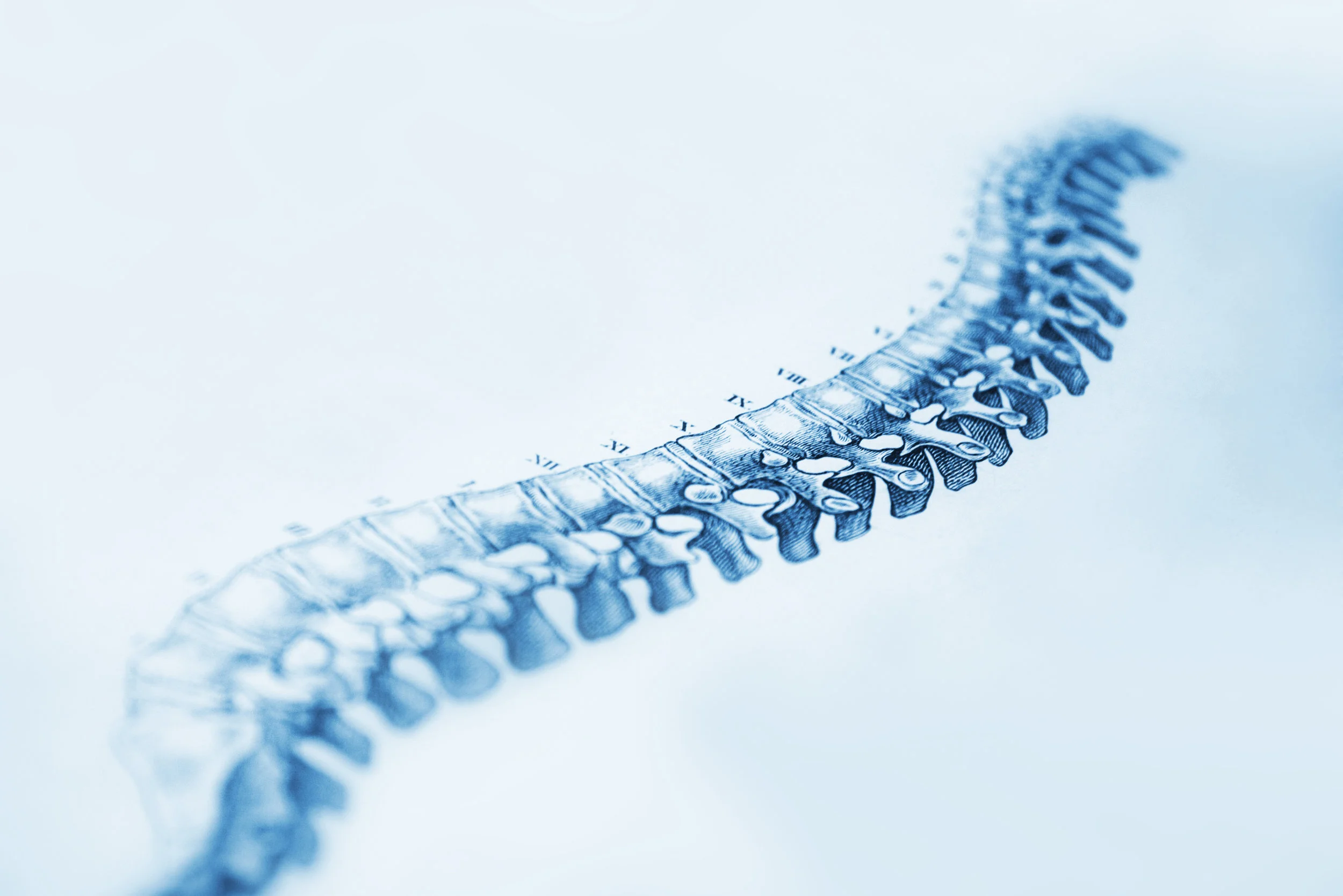 iStock-165651993.jpg