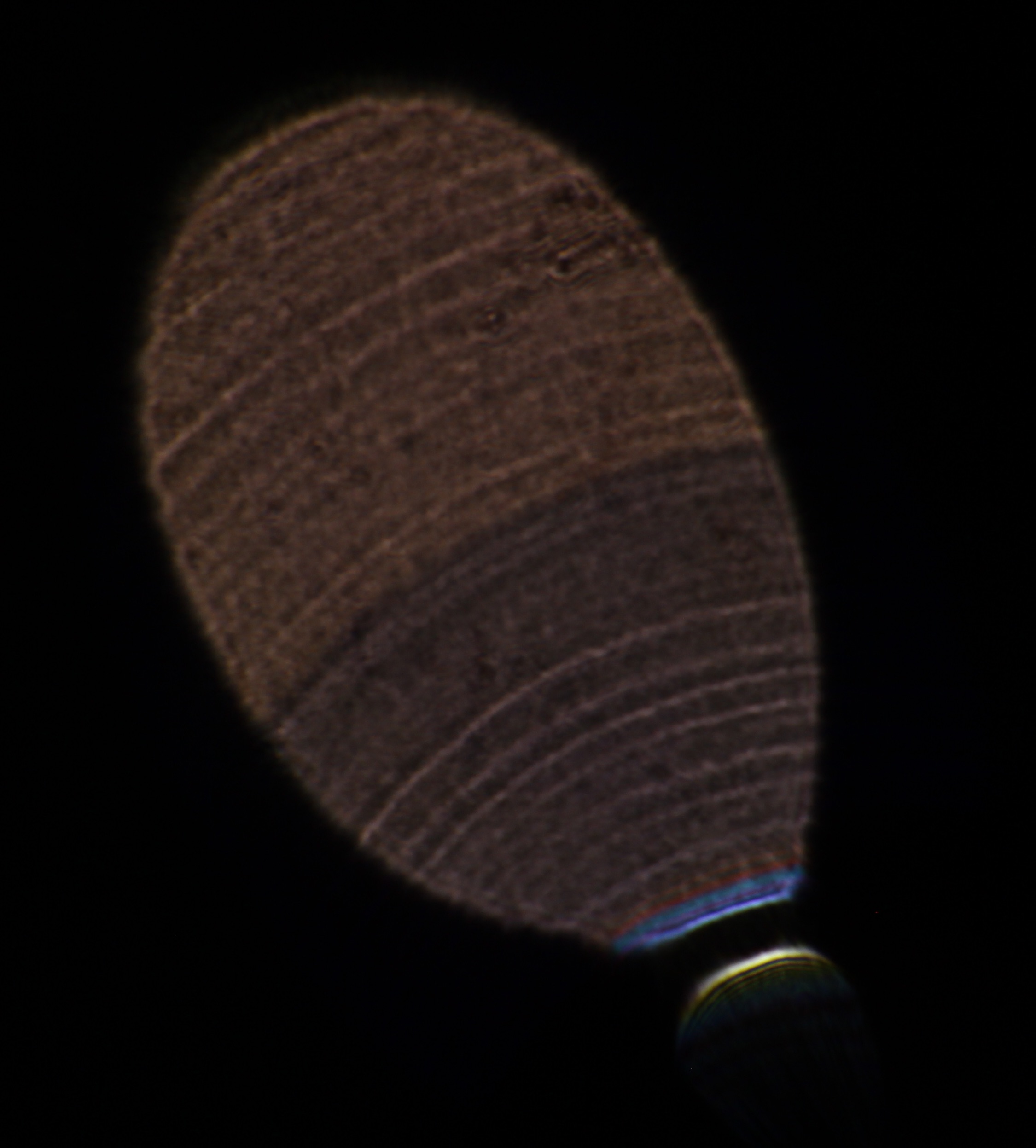 Compact disc seen through bokeh photography
