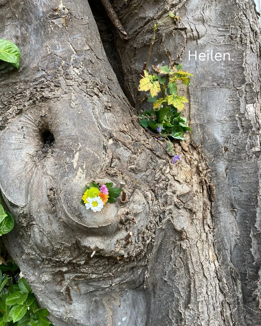 Ein Baumstamm mit blühenden Pflanzen, die von der Rinde wachsen, und einem kleinen Blumenarrangement auf einer Erhebung im Holz. Der Schriftzug 'Heilen.' ist sichtbar.