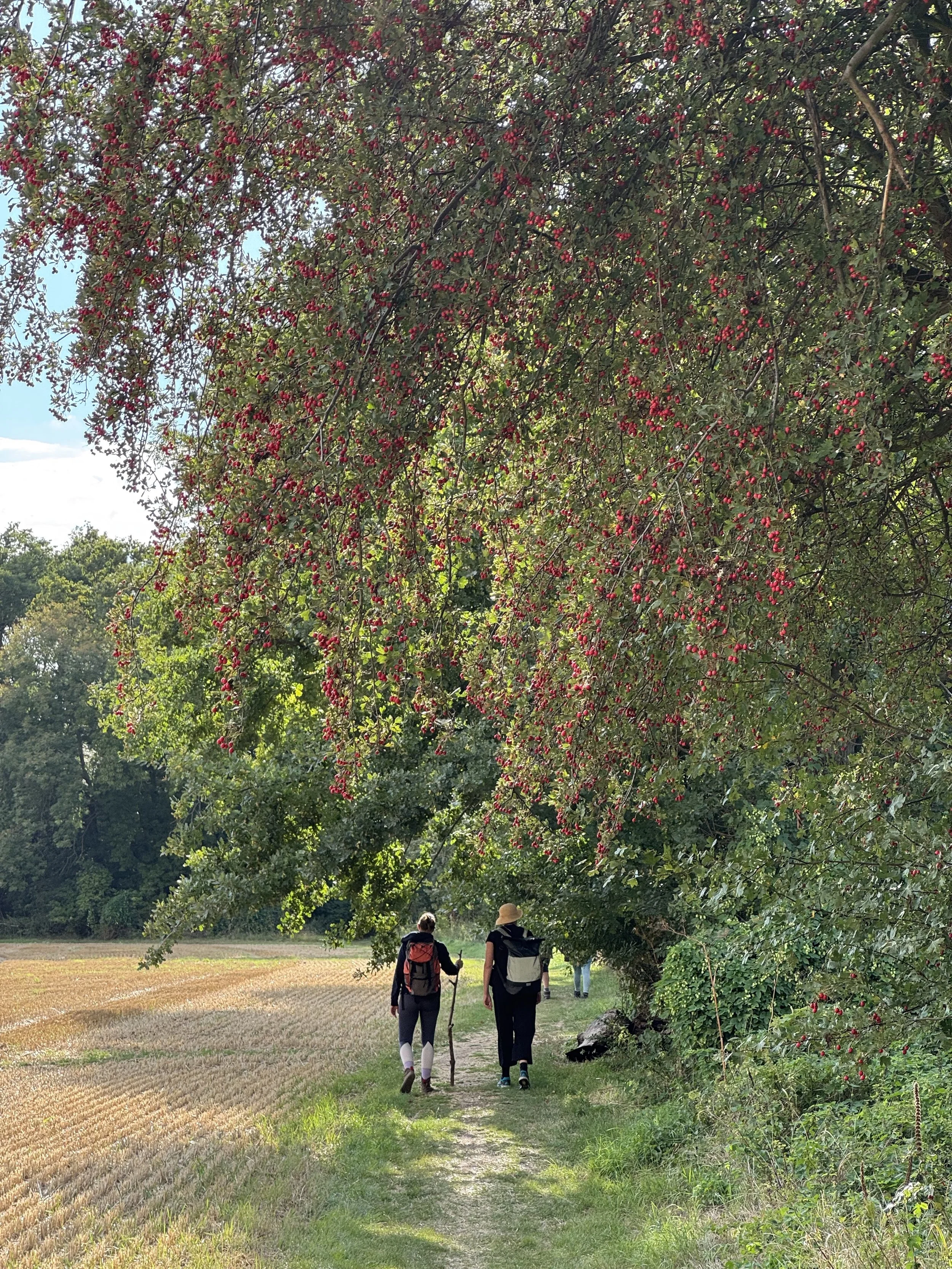 IMG_9564 Kopie.jpg